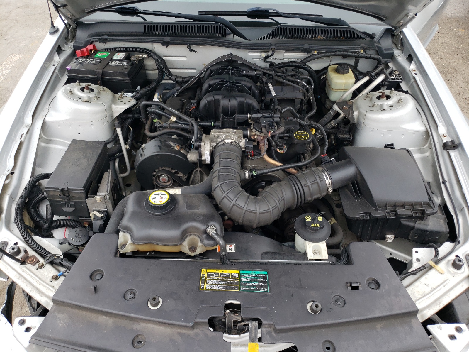 Photo 7 from auction – 2005 FORD MUSTANG with VIN 1ZVFT80N855126187