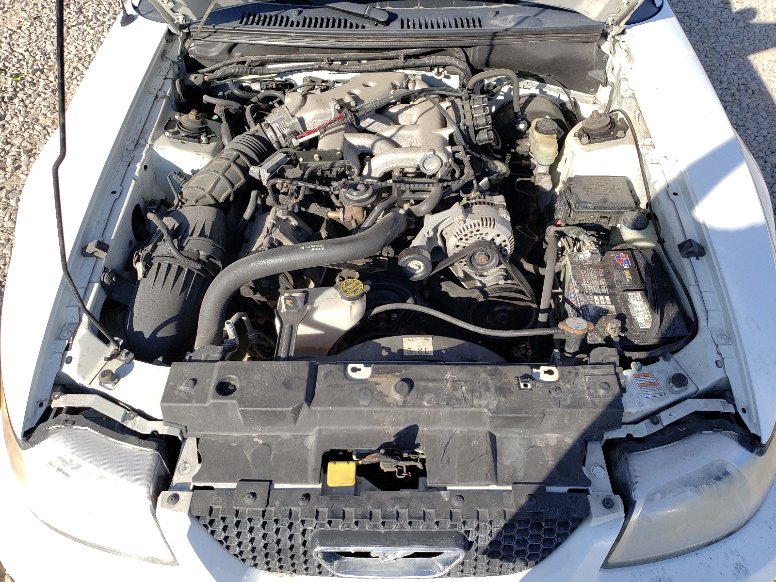 Photo 7 from auction – 1999 FORD MUSTANG with VIN 1FAFP4442XF140767