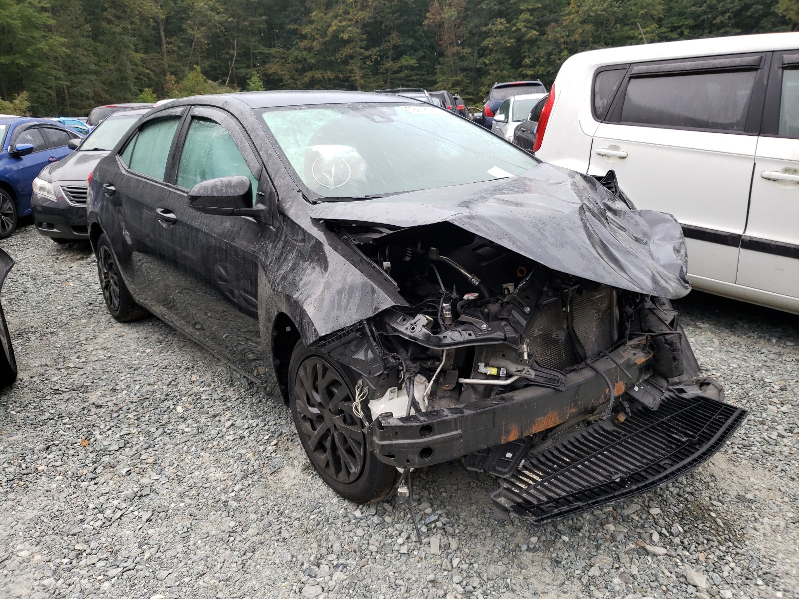 TOYOTA COROLLA L 2017 with VIN 2T1BURHE1HC929035 - Photo from auction