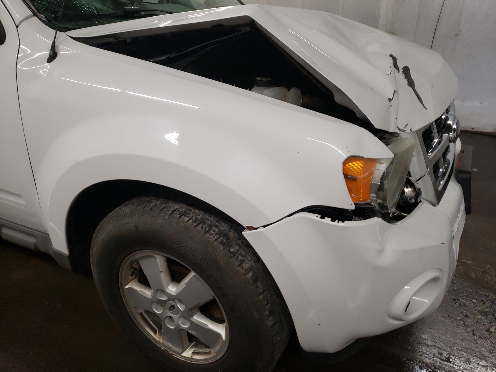 Photo 9 from auction – 2009 FORD ESCAPE XLS with VIN 1FMCU92749KC38706