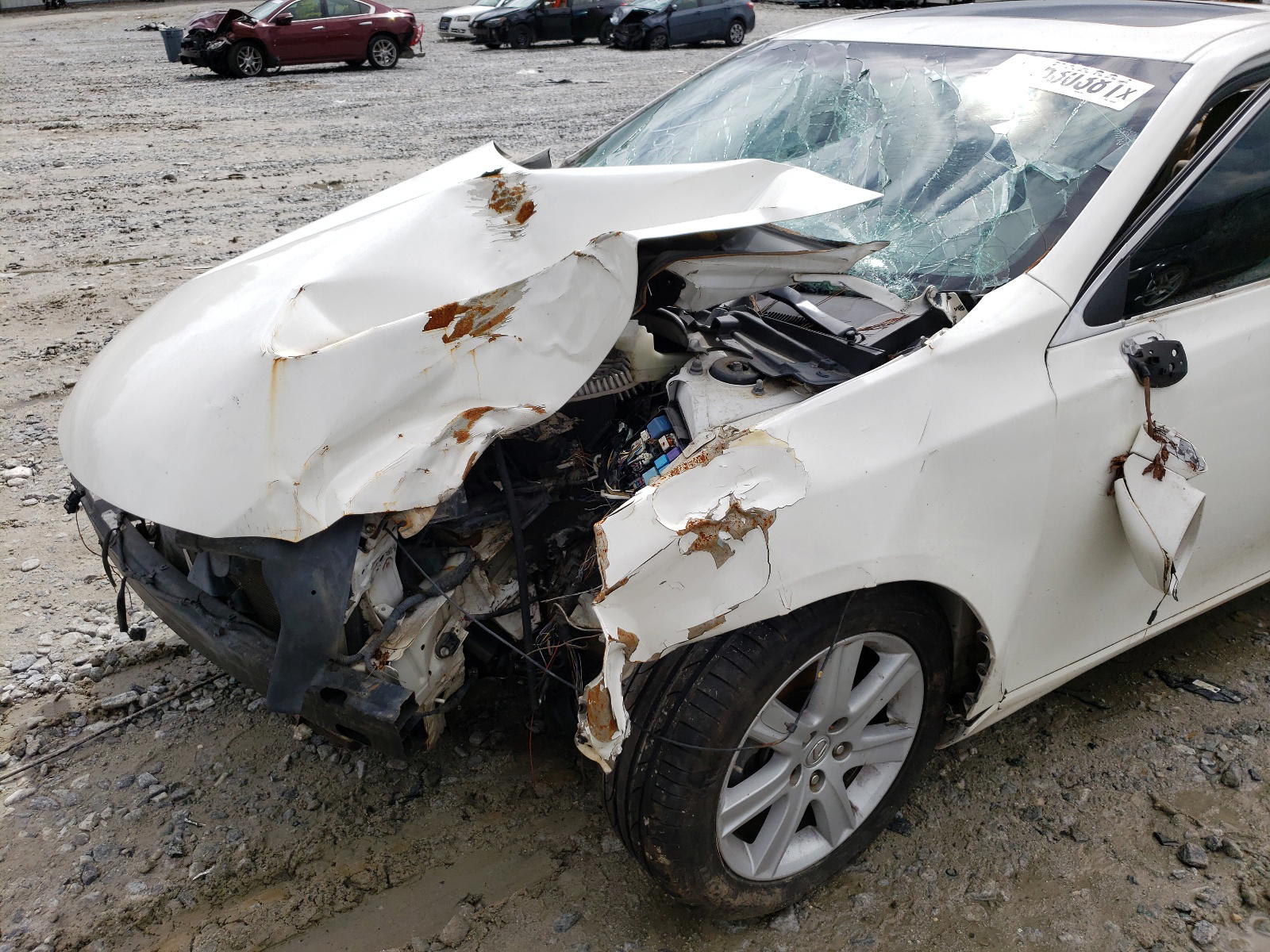 Photo 10 from auction – 2008 LEXUS ES 350 with VIN JTHBJ46G982180403