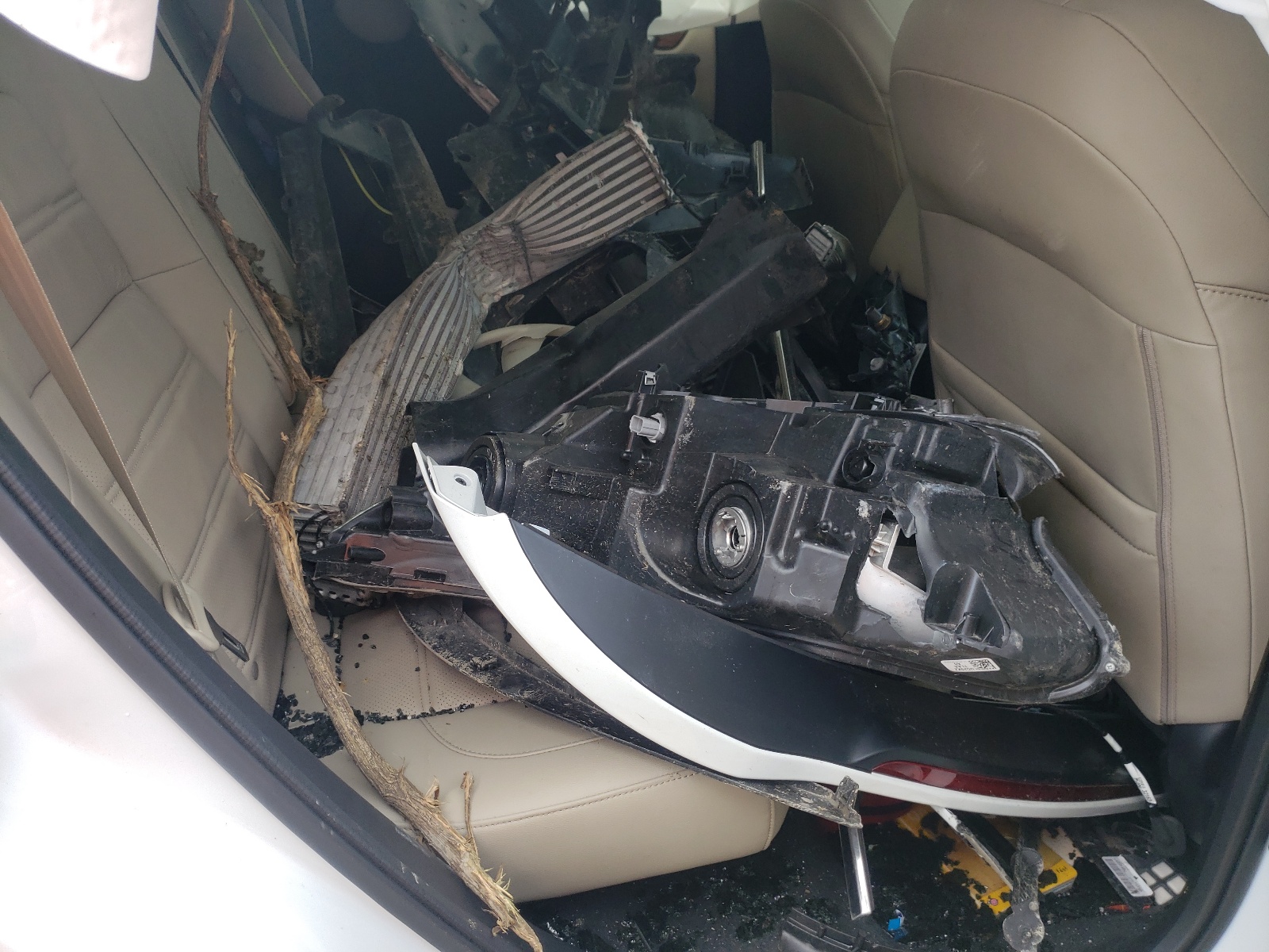 Photo 6 from auction – 2019 HONDA CR-V EXL with VIN 7FARW2H87KE043982