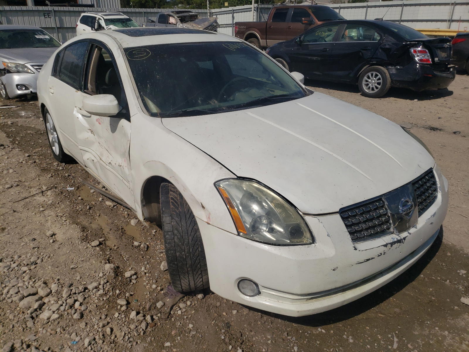 NISSAN MAXIMA SE 2005 with VIN 1N4BA41E45C828278 - Photo from auction