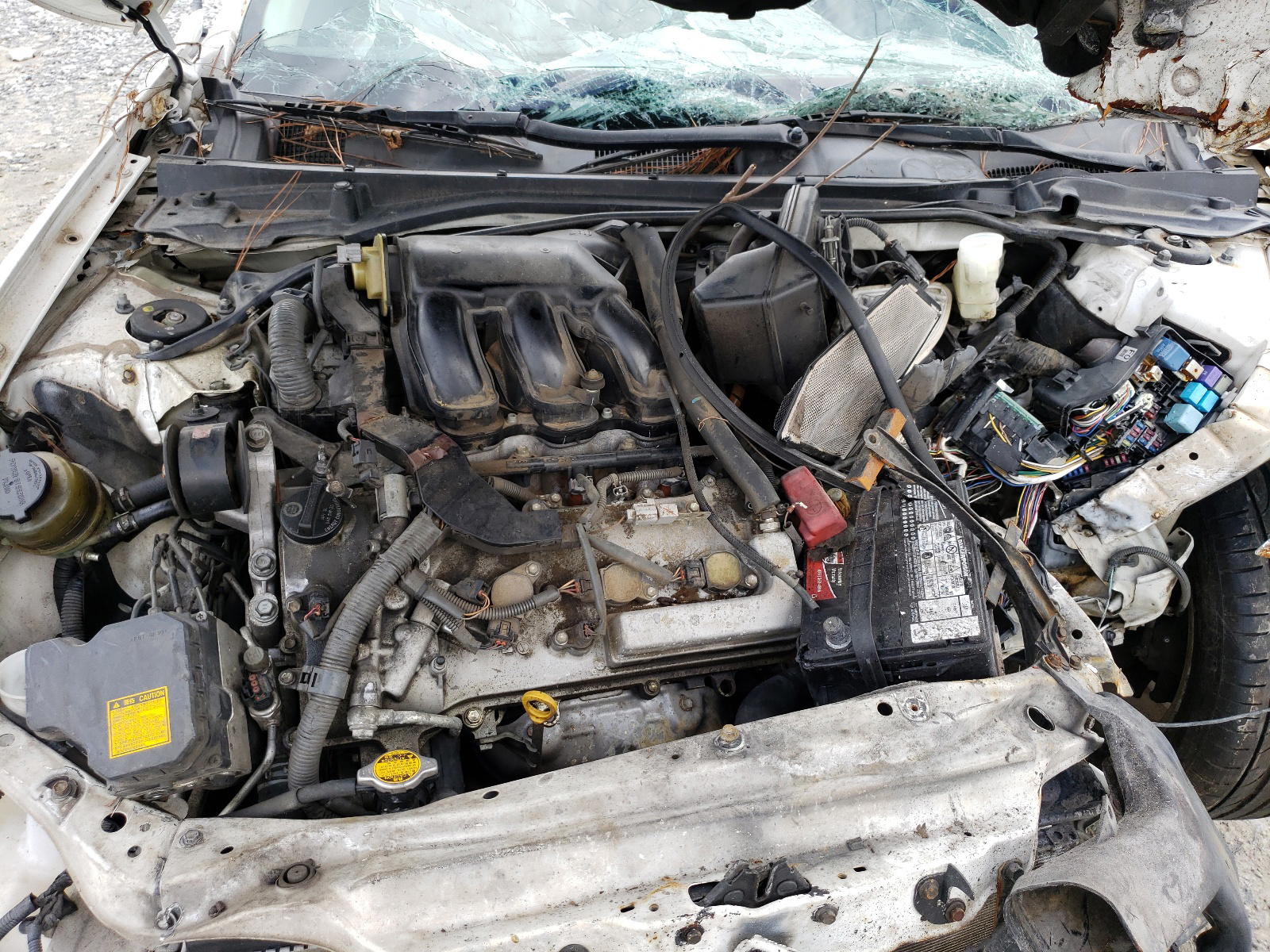 Photo 7 from auction – 2008 LEXUS ES 350 with VIN JTHBJ46G982180403