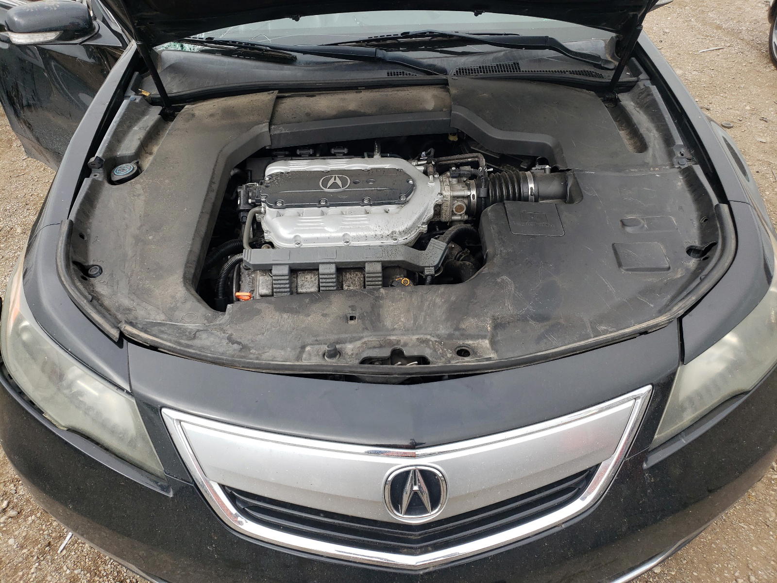 Photo 7 from auction – 2013 ACURA TL TECH with VIN 19UUA8F56DA016849