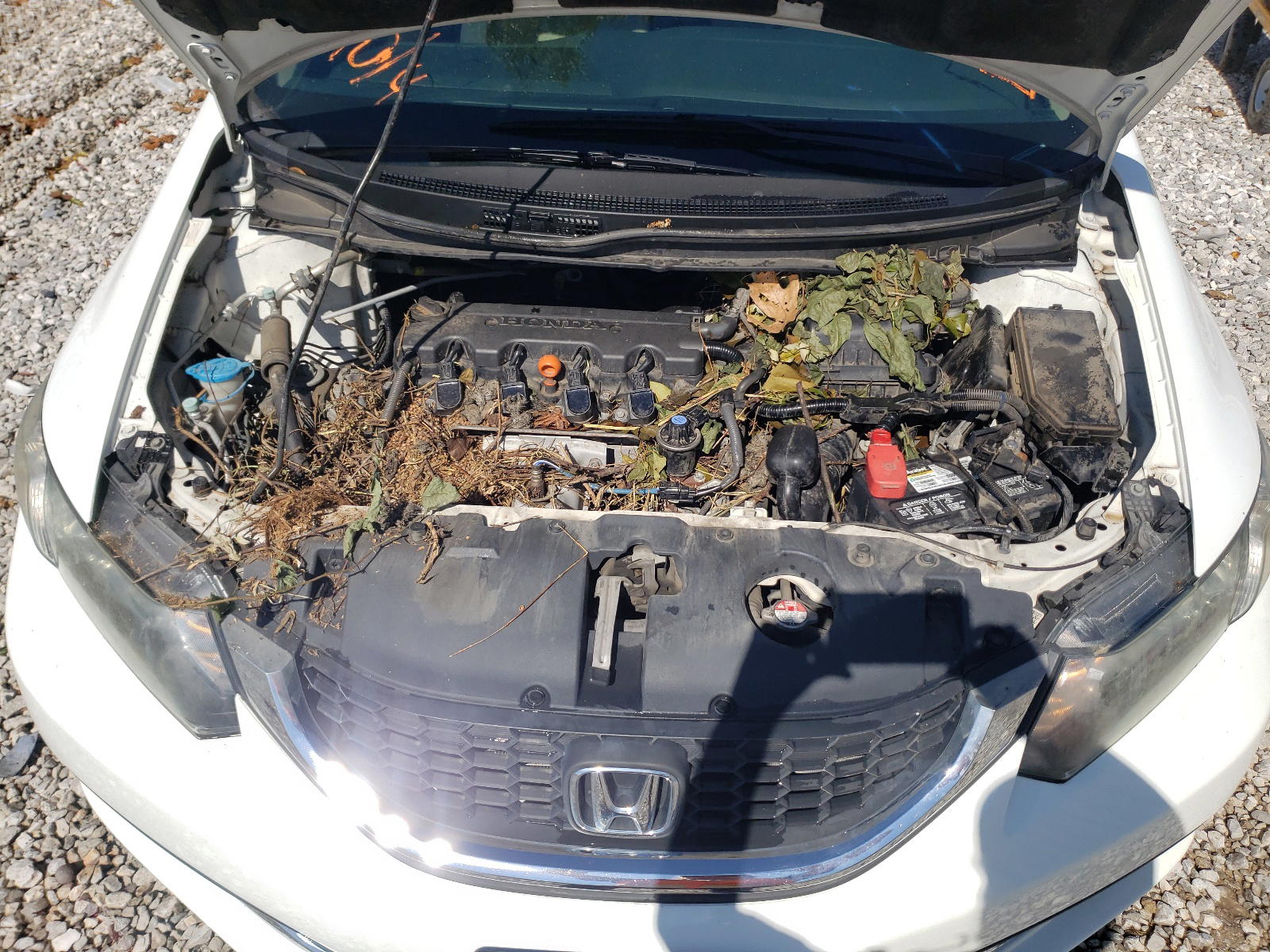 Photo 7 from auction – 2014 HONDA CIVIC LX with VIN 19XFB2F51EE263275
