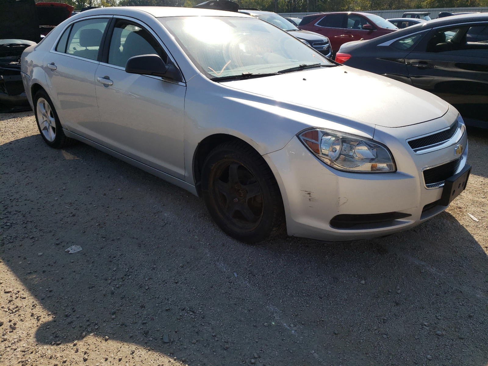 CHEVROLET MALIBU 2011 with VIN 1G1ZA5EU7BF104491 - Photo from auction
