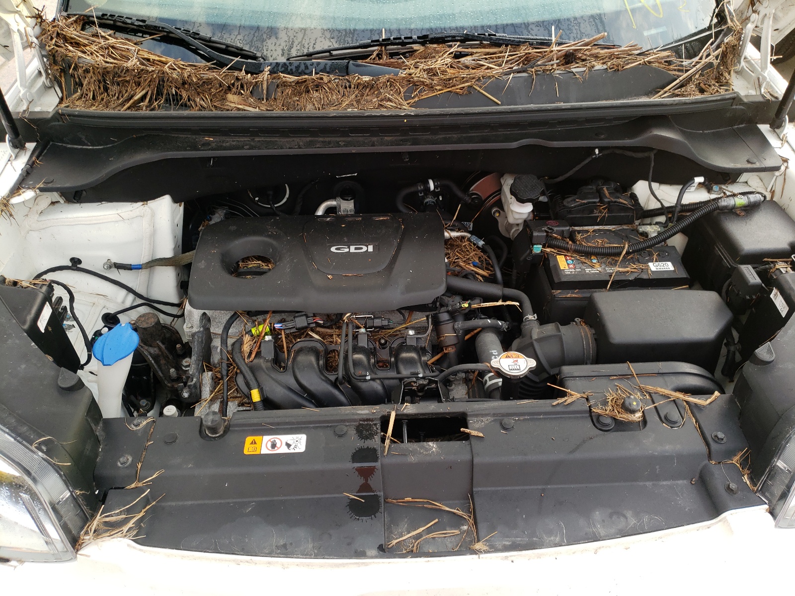 Photo 7 from auction – 2019 KIA SOUL with VIN KNDJN2A28K7021139