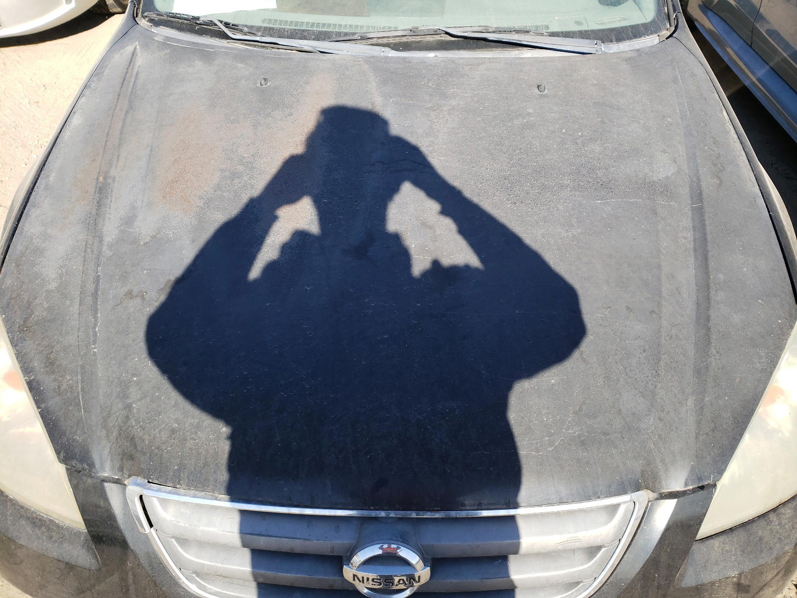 Photo 7 from auction – 2002 NISSAN ALTIMA BAS with VIN 1N4AL11E22C254280