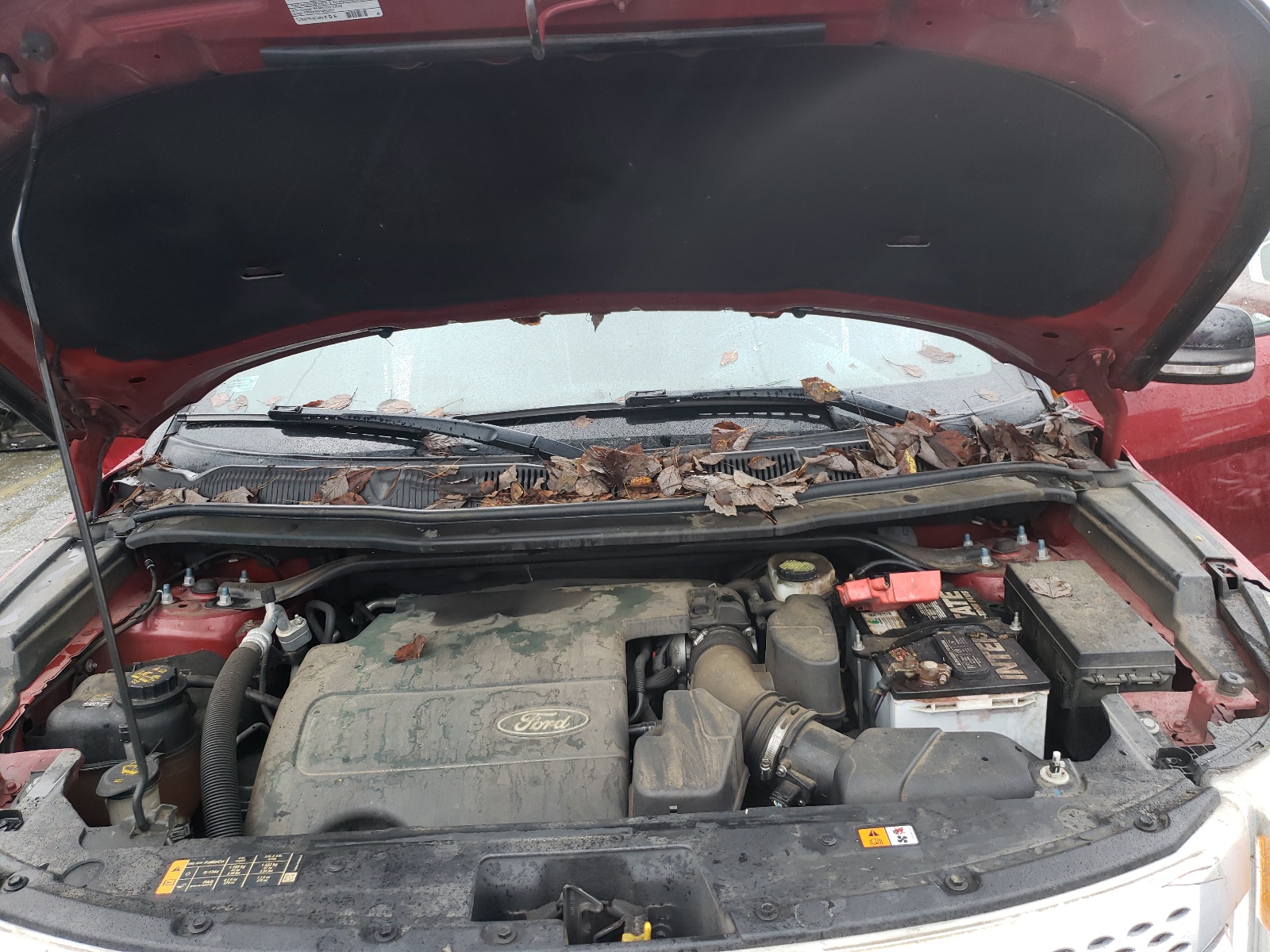 Zdjęcie 7 z aukcji – 2014 FORD EXPLORER X z VIN 1FM5K7D87EGA15999