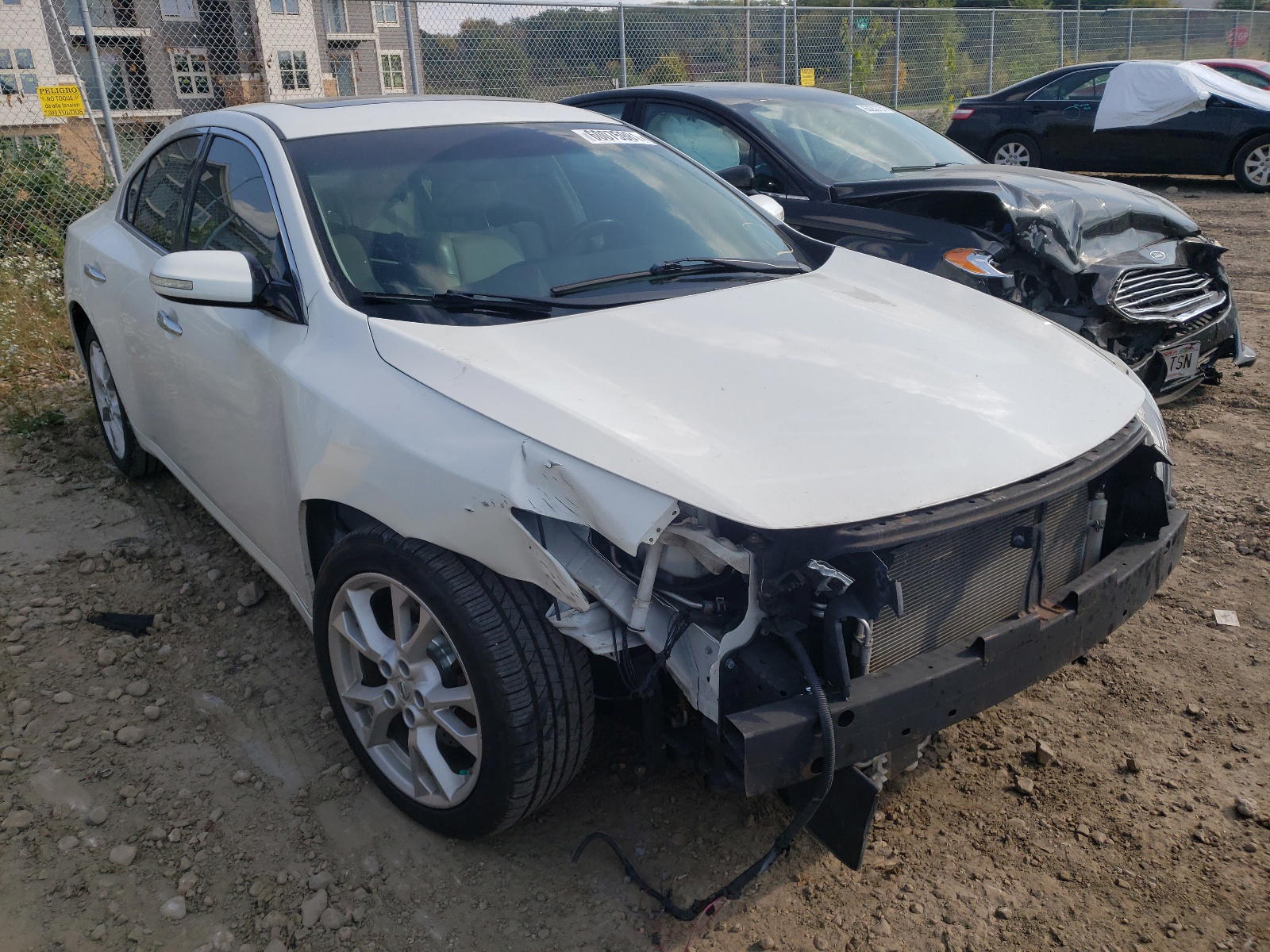 NISSAN MAXIMA S 2013 with VIN 1N4AA5AP9DC810604 - Photo from auction