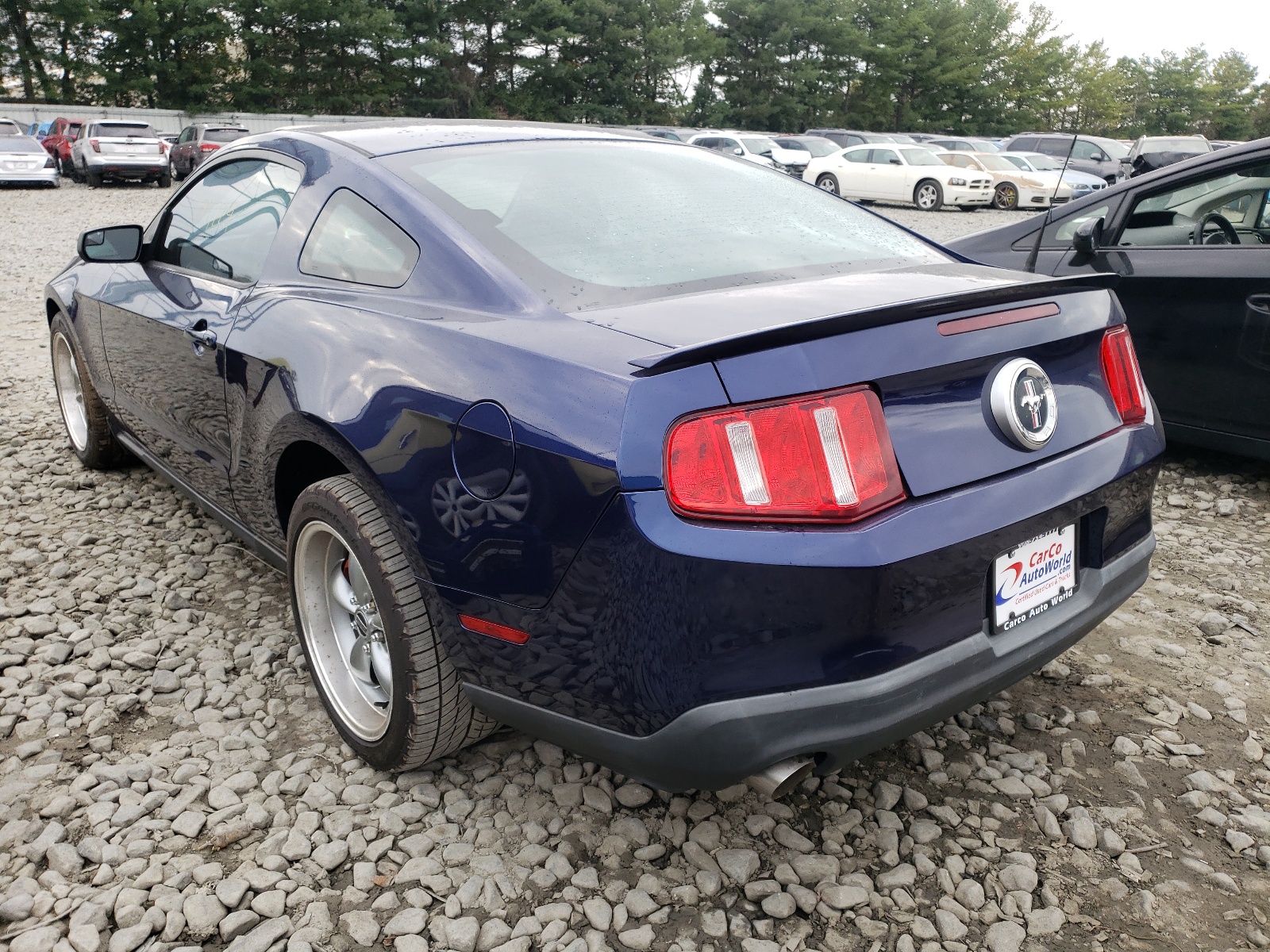 Photo 3 from auction – 2012 FORD MUSTANG with VIN 1ZVBP8AM6C5234331