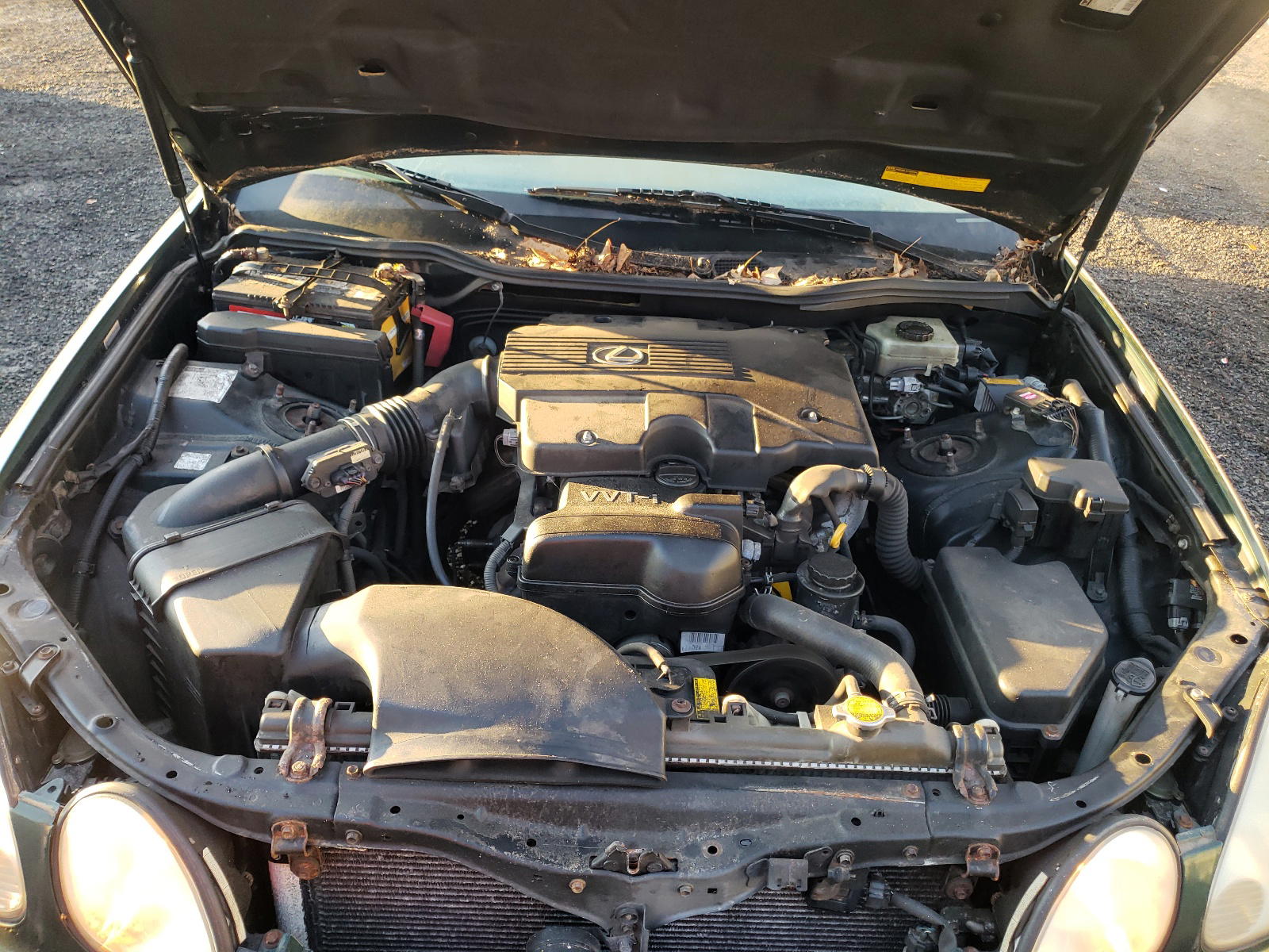 Photo 7 from auction – 2000 LEXUS GS 300 with VIN JT8BD68S8Y0113873