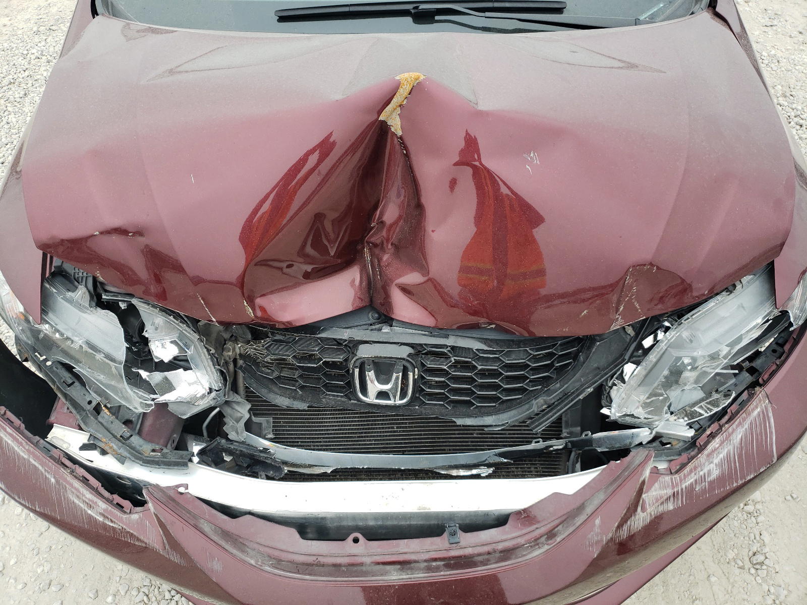Photo 7 from auction – 2014 HONDA CIVIC EXL with VIN 19XFB2F90EE079691