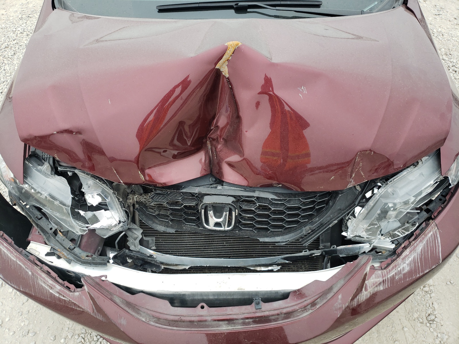 Zdjęcie 7 z aukcji – 2014 HONDA CIVIC EXL z VIN 19XFB2F90EE079691