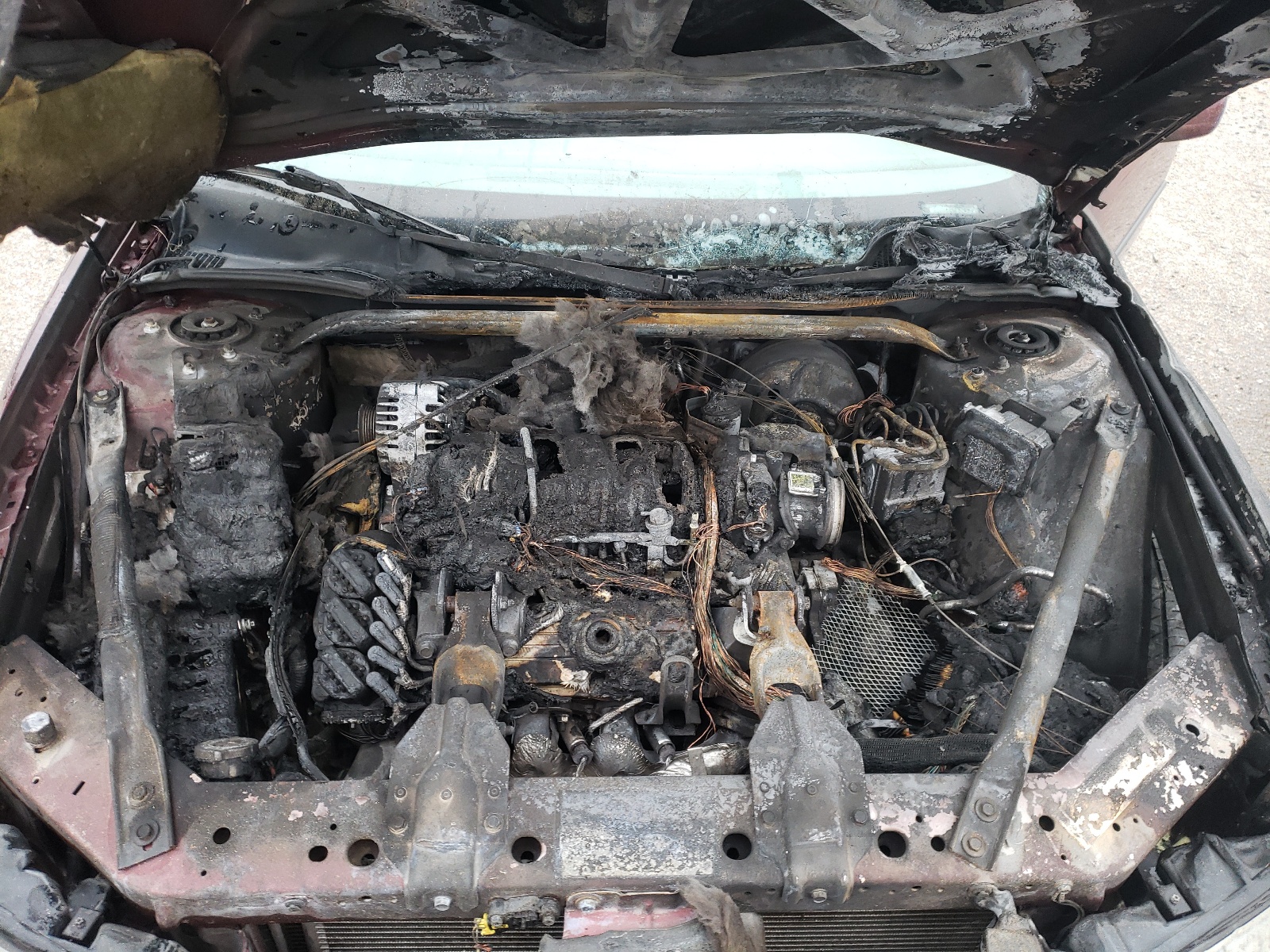 Photo 7 from auction – 2001 CHEVROLET IMPALA LS with VIN 2G1WH55K319113127