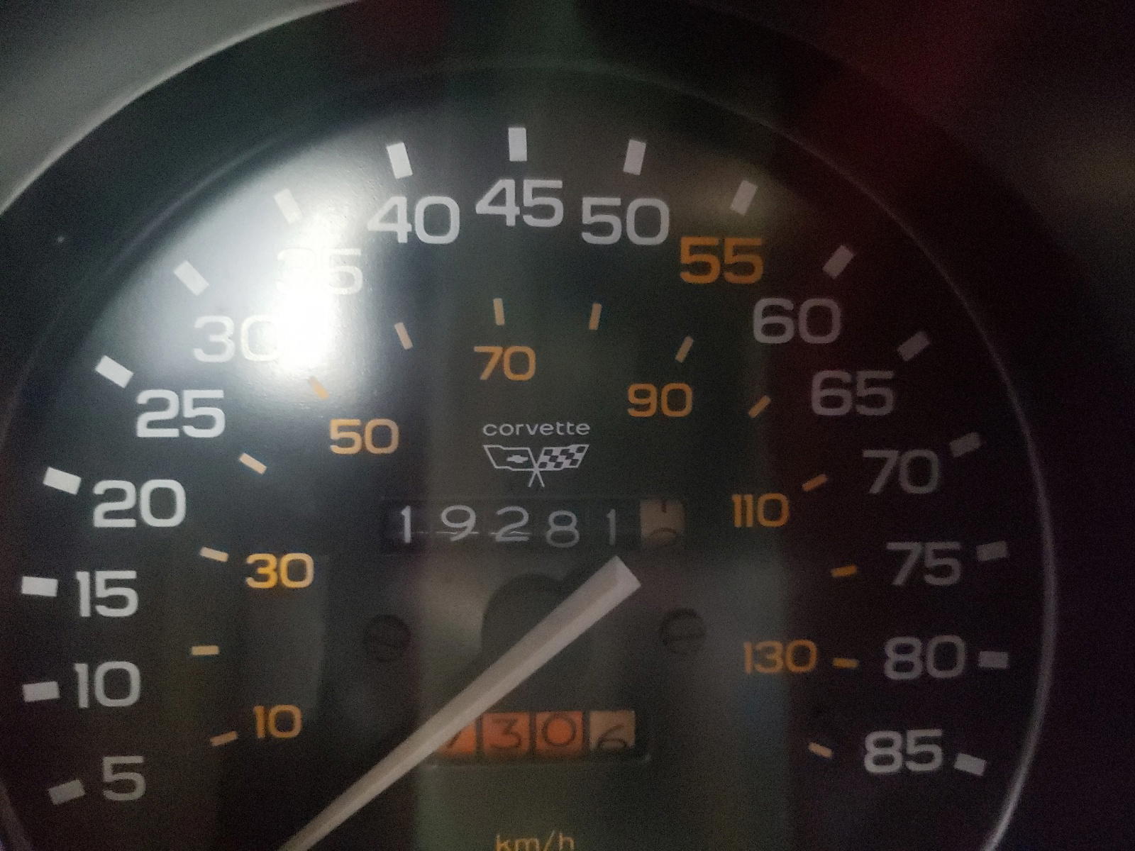 Photo 8 from auction – 1982 CHEVROLET CORVETTE with VIN 1G1AY8781C5116444