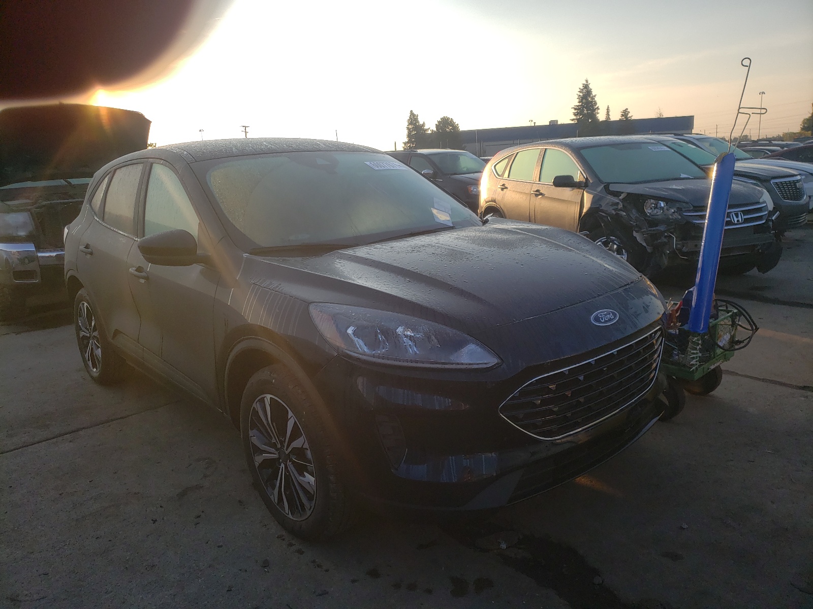 Photo 1 from auction – 2021 FORD ESCAPE SE with VIN 1FMCU9G61MUB01915