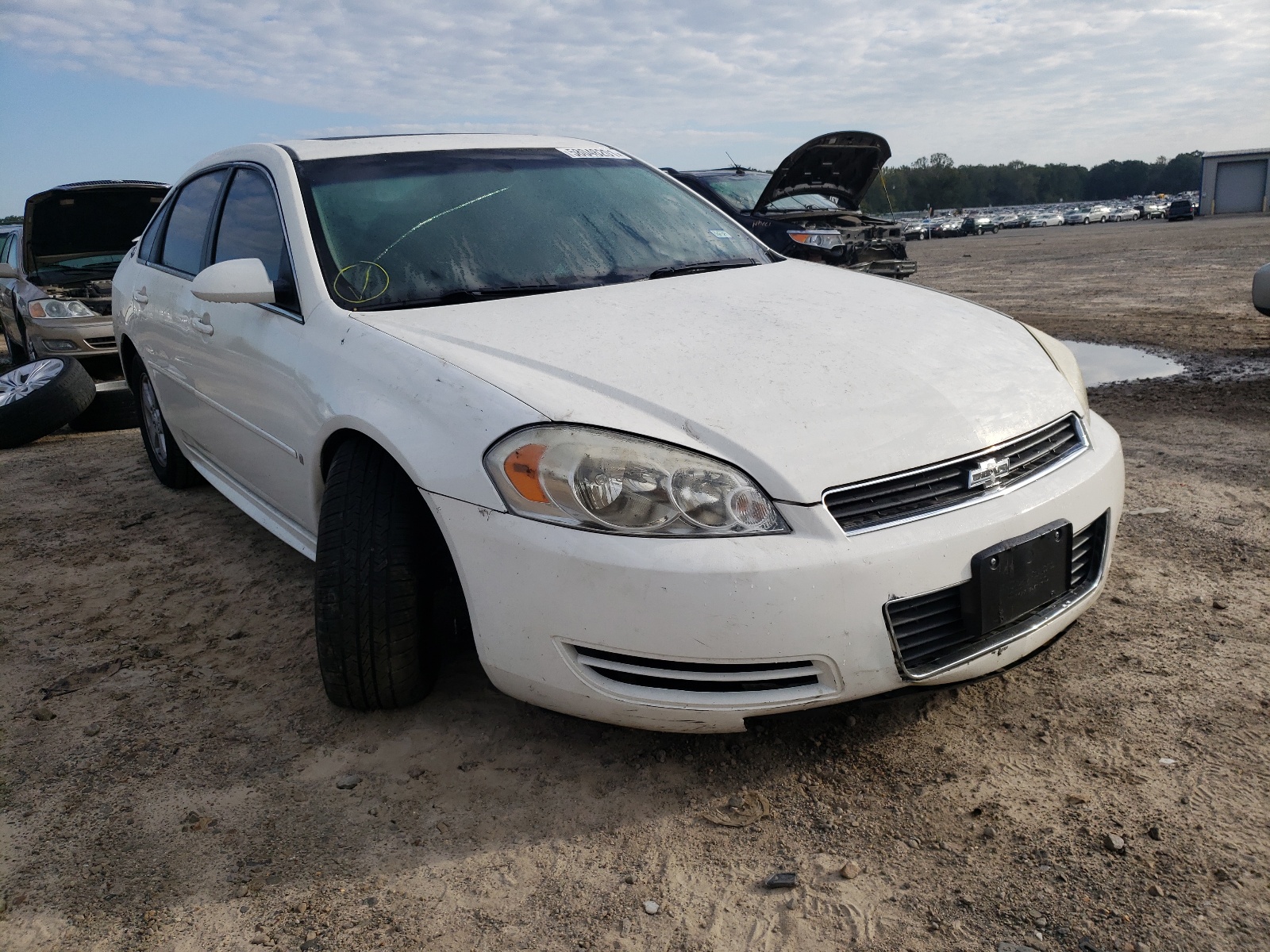 CHEVROLET IMPALA 1LT 2009 with VIN 2G1WT57K091108019 - Photo from auction