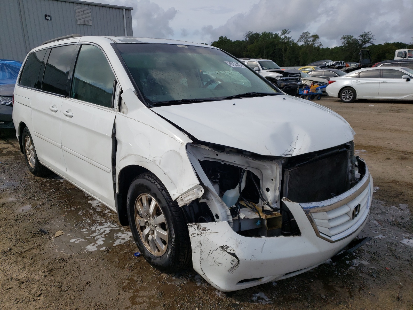 HONDA ODYSSEY EX 2009 with VIN 5FNRL38619B404769 - Photo from auction