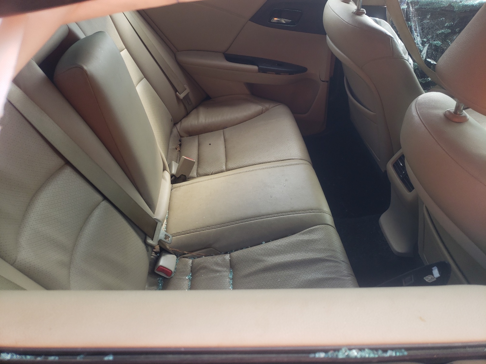 Photo 6 from auction – 2014 HONDA ACCORD EXL with VIN 1HGCR2F81EA303867