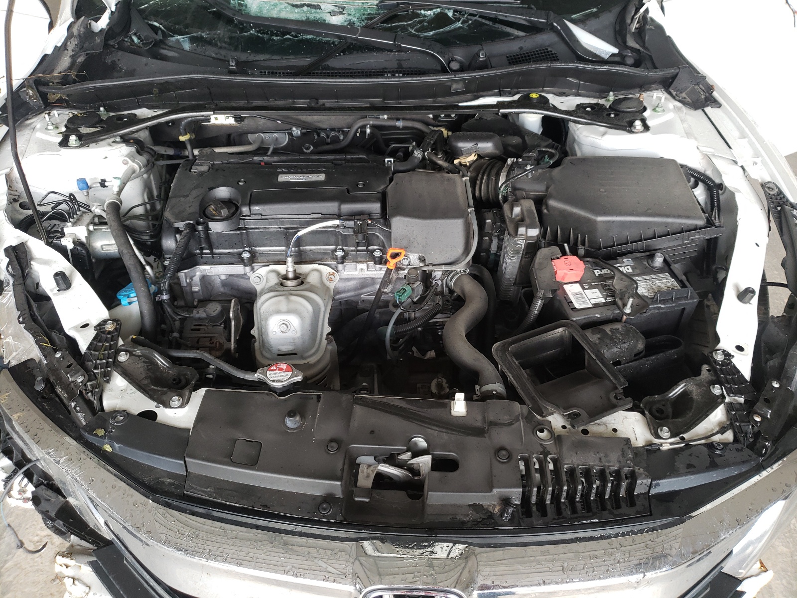 Photo 7 from auction – 2016 HONDA ACCORD EX with VIN 1HGCR2F76GA212183