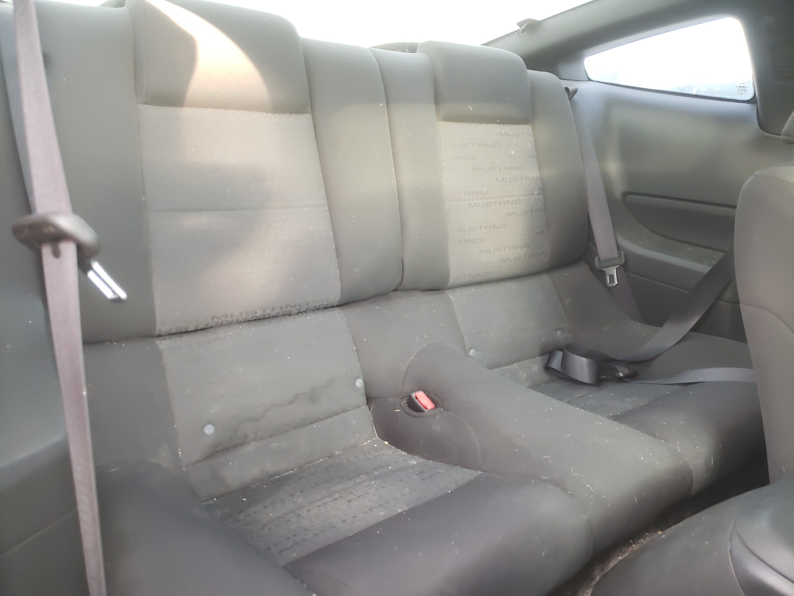 Photo 6 from auction – 2006 FORD MUSTANG with VIN 1ZVFT80N565178183
