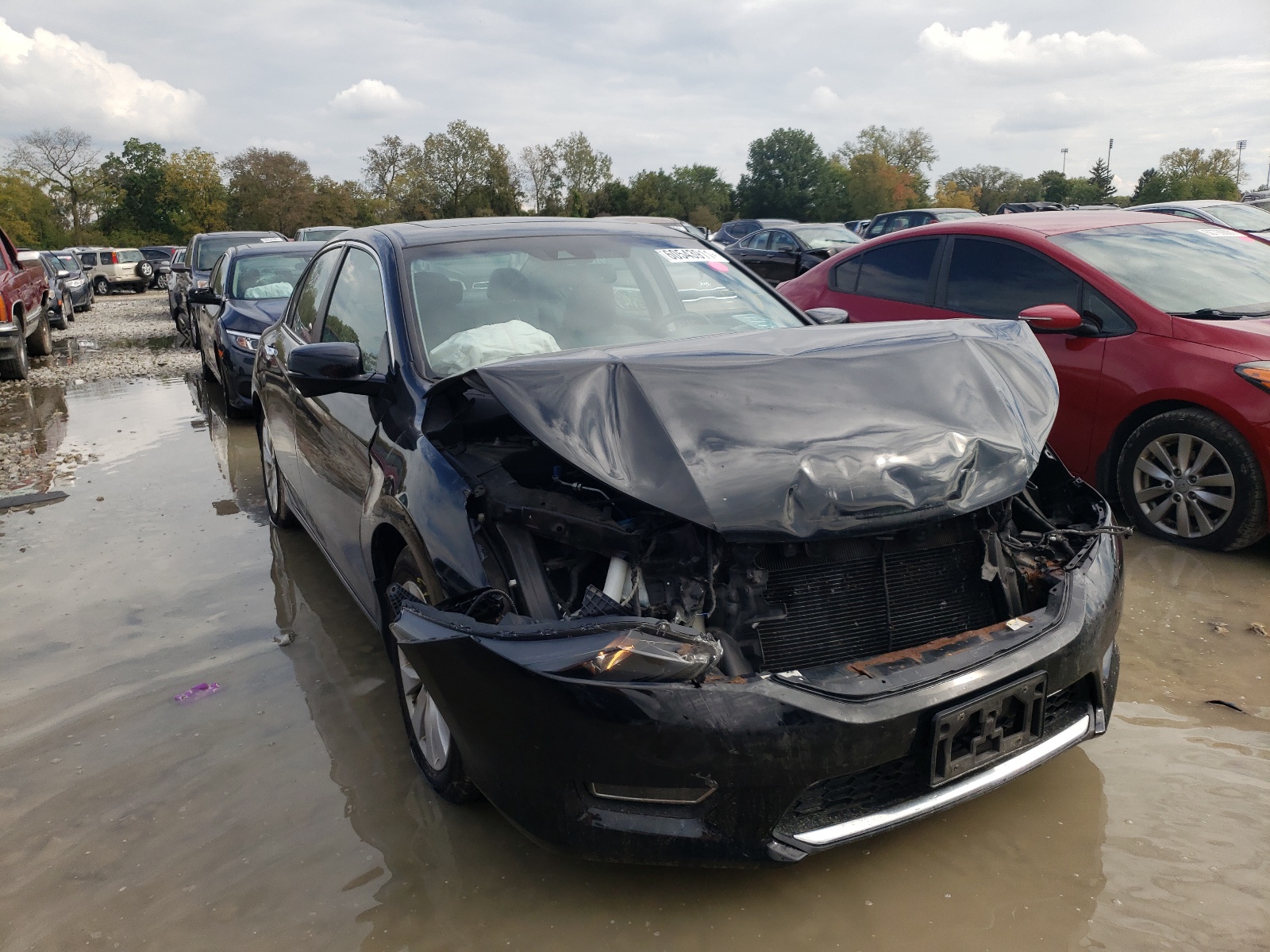 Photo 1 from auction – 2013 HONDA ACCORD EXL with VIN 1HGCR2F85DA157696