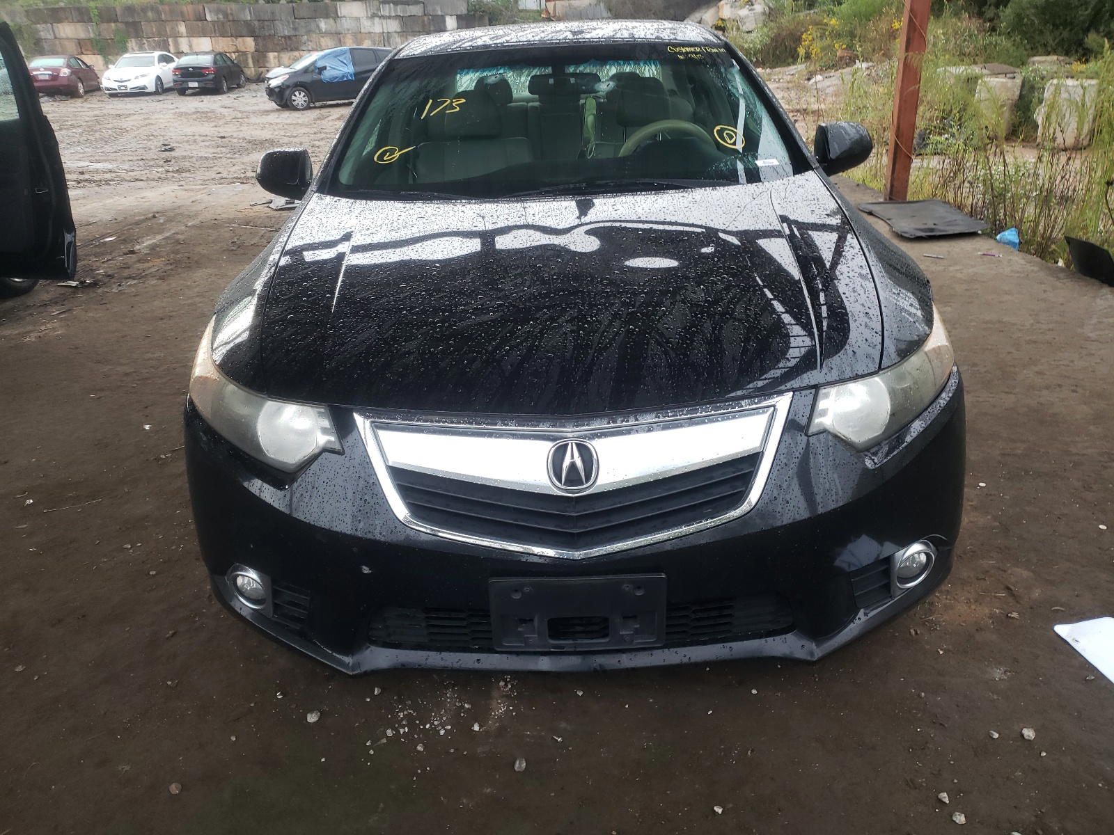 Photo 9 from auction – 2011 ACURA TSX with VIN JH4CU2F66BC003977