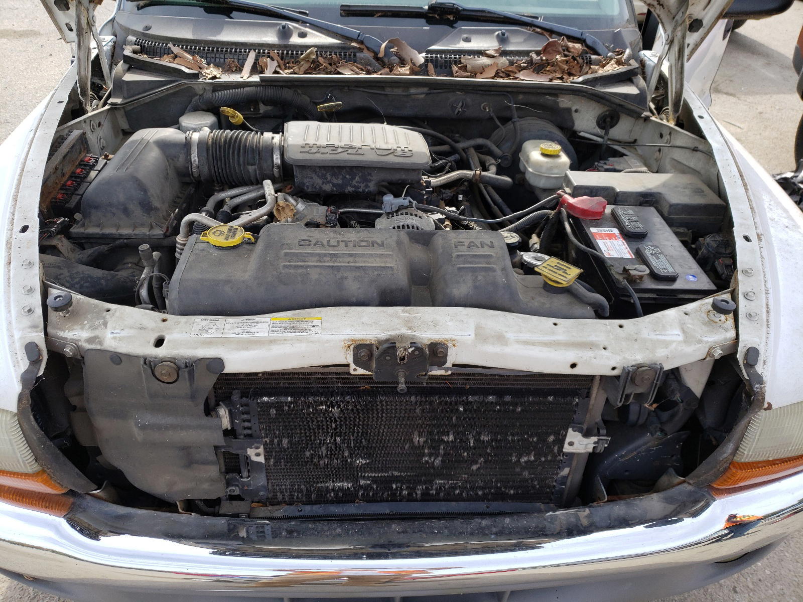 Photo 7 from auction – 2004 DODGE DAKOTA with VIN 1D7GL42N34S745296