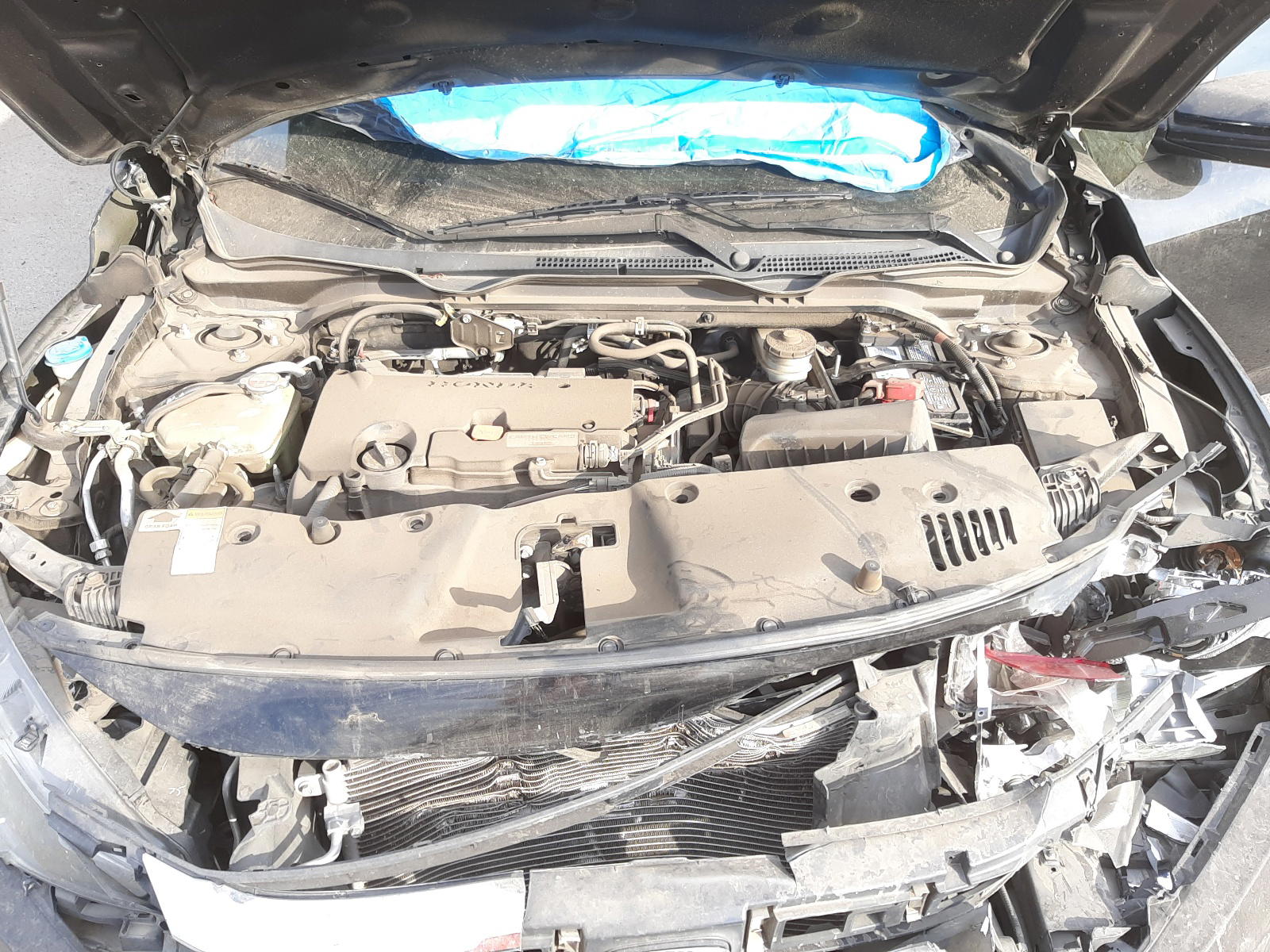 Photo 7 from auction – 2016 HONDA CIVIC LX with VIN 2HGFC2F52GH506520