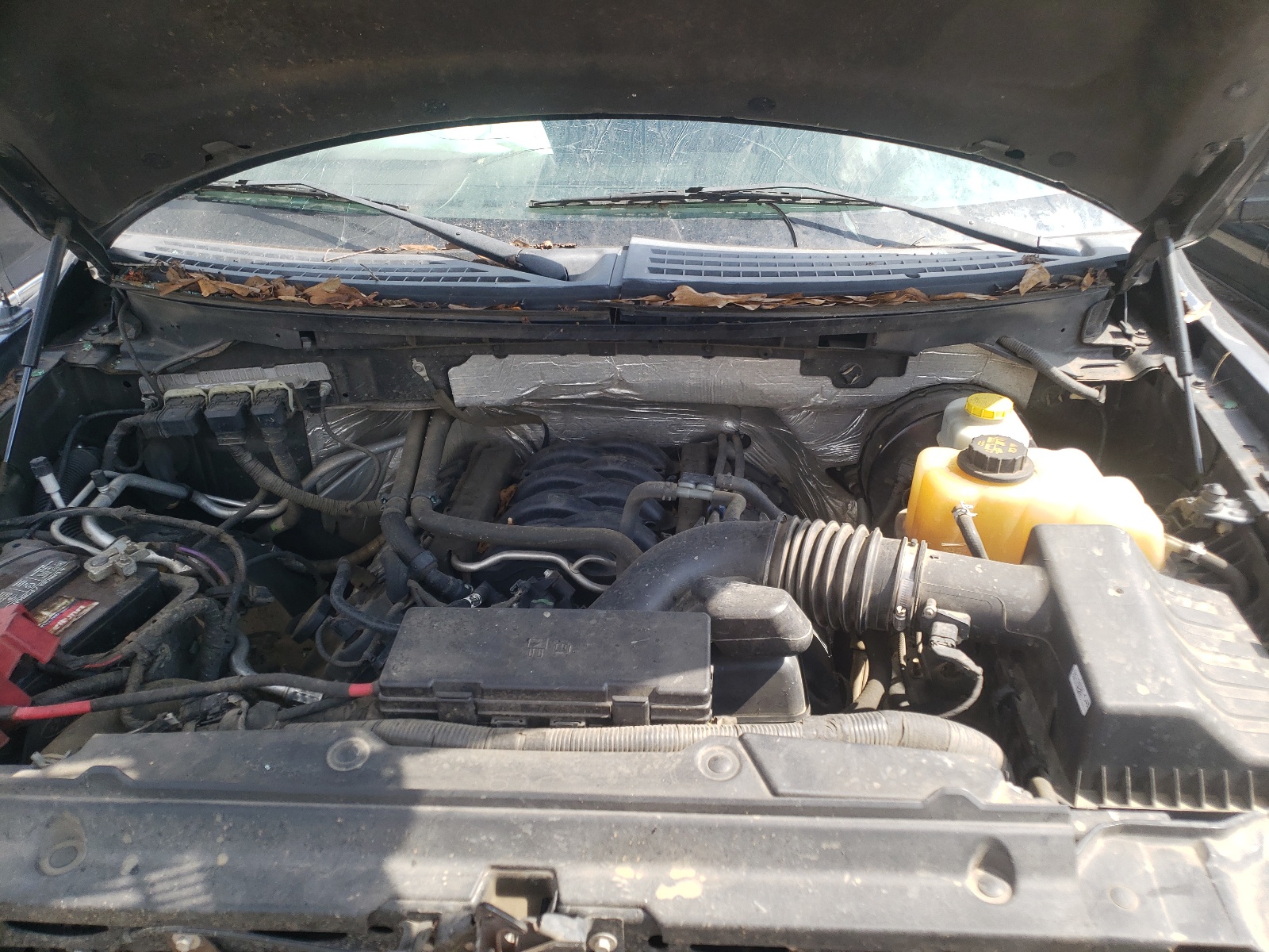Photo 7 from auction – 2014 FORD F150 SUPER with VIN 1FTFW1CF6EKE25426