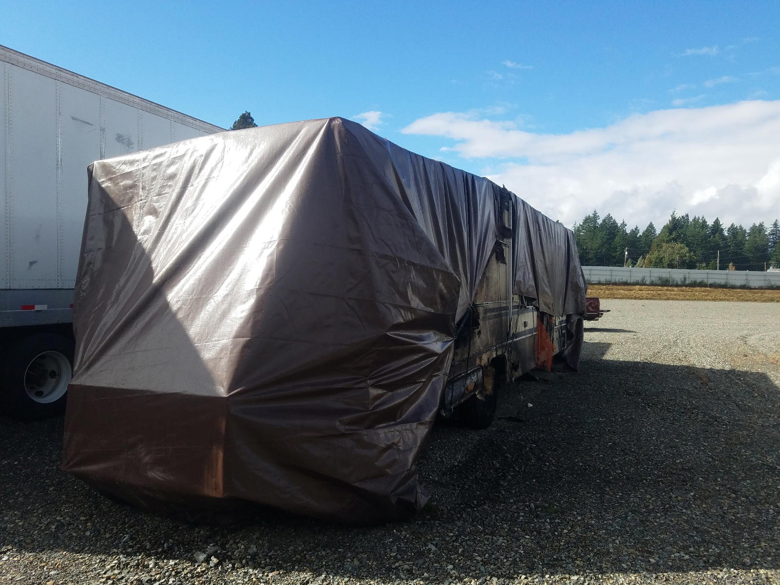 Photo 4 from auction – 1986 ROADMASTER RAIL MTRHM with VIN 1RF110513F1000221