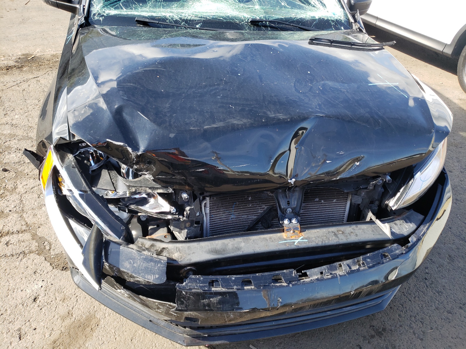 Photo 9 from auction – 2016 VOLKSWAGEN JETTA S with VIN 3VW167AJ3GM397906
