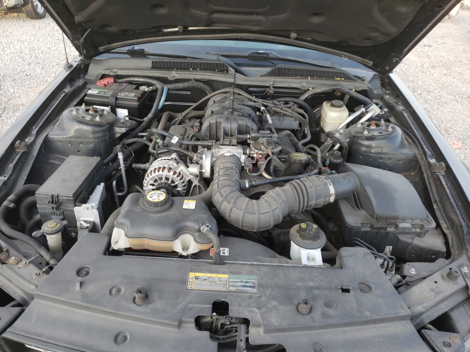 Photo 7 from auction – 2006 FORD MUSTANG with VIN 1ZVFT80N565178183