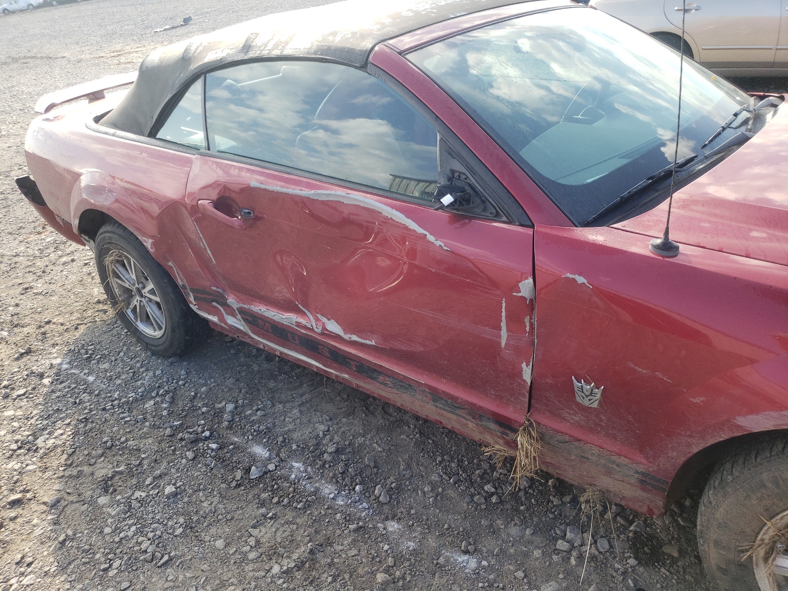 Photo 9 from auction – 2005 FORD MUSTANG with VIN 1ZVFT84N455234610