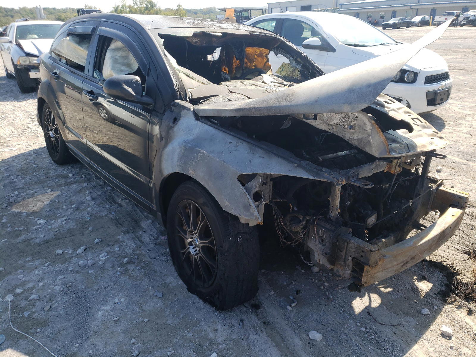 DODGE CALIBER MA 2010 with VIN 1B3CB3HAXAD569293 - Photo from auction