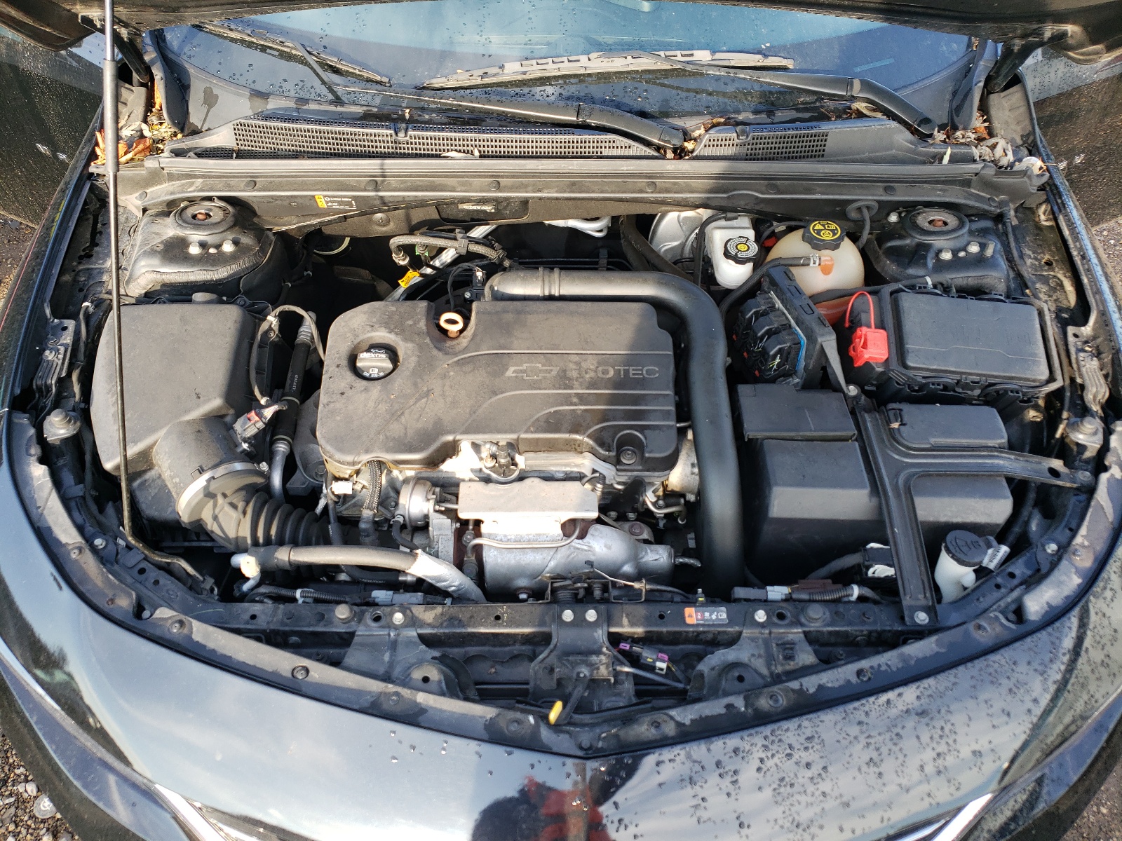 Photo 7 from auction – 2017 CHEVROLET MALIBU LS with VIN 1G1ZB5ST9HF164886