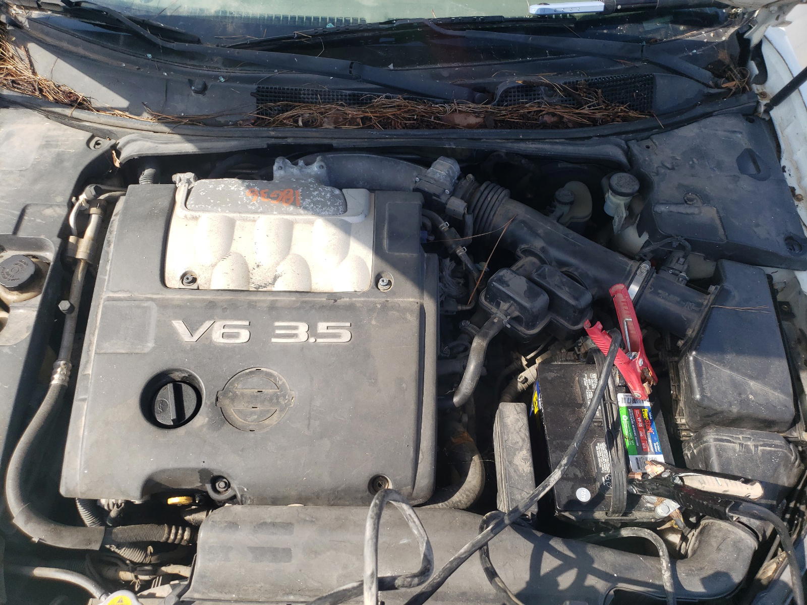 Photo 7 from auction – 2005 NISSAN MAXIMA SE with VIN 1N4BA41E45C828278