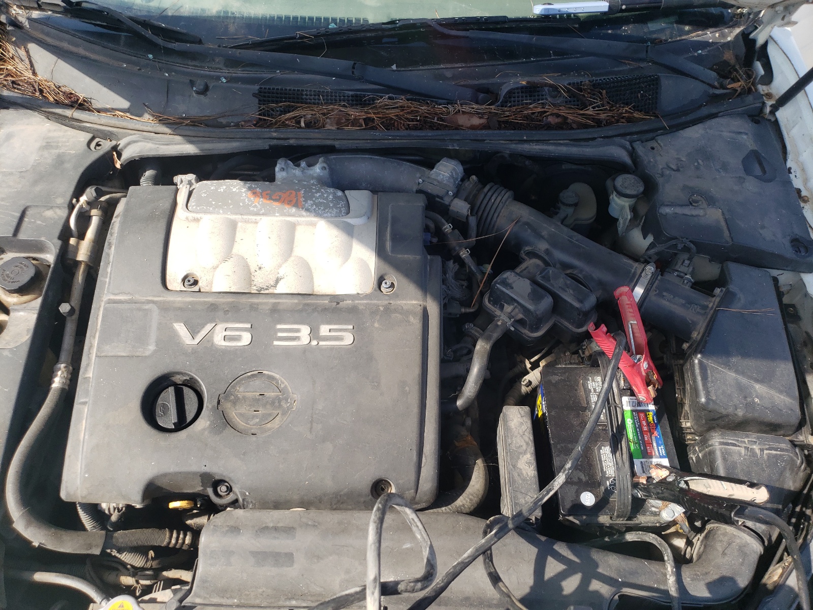 Фото 7 с аукциона – 2005 NISSAN MAXIMA SE с VIN 1N4BA41E45C828278