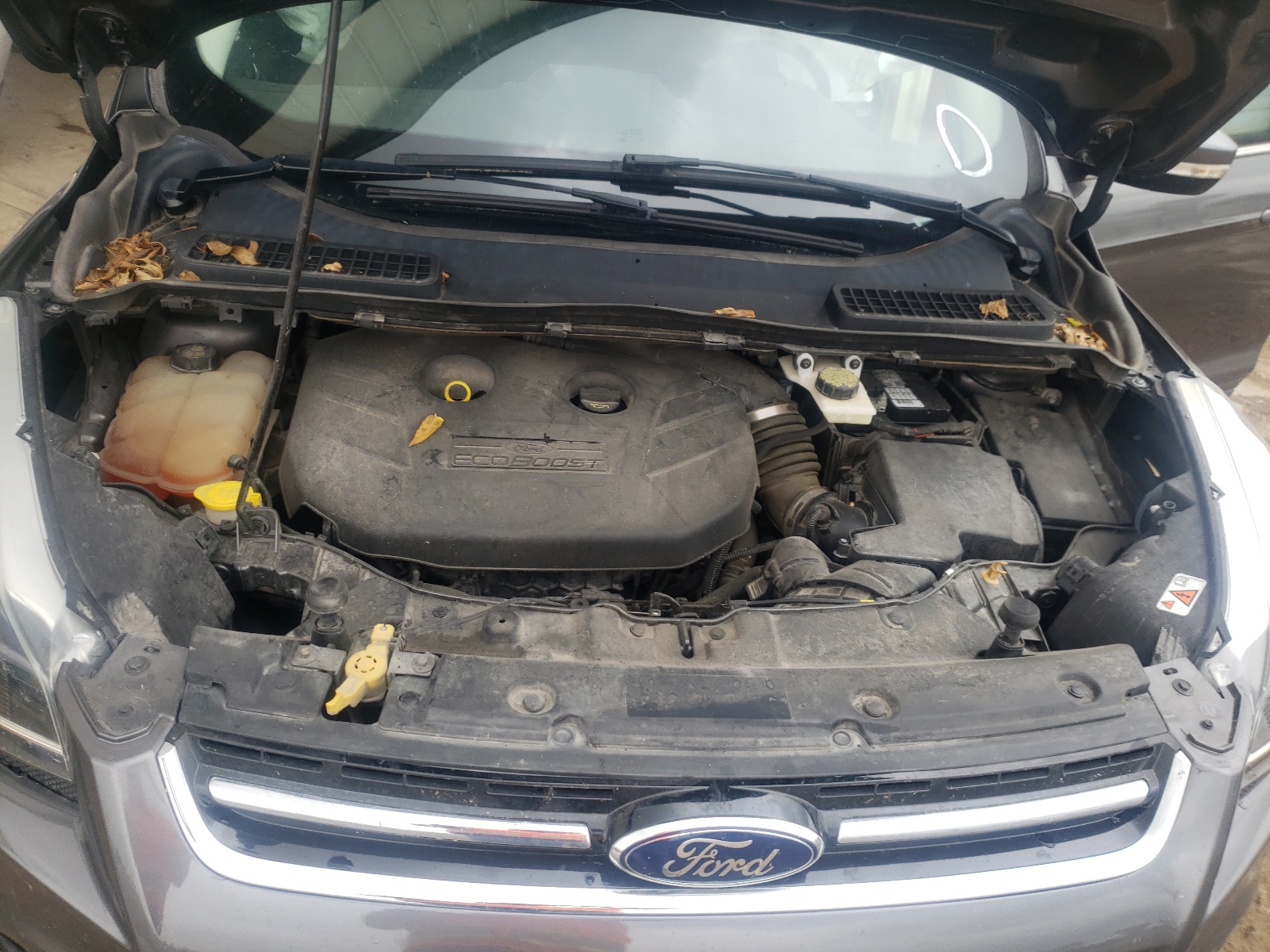 Photo 7 from auction – 2014 FORD ESCAPE TIT with VIN 1FMCU9J98EUA92070