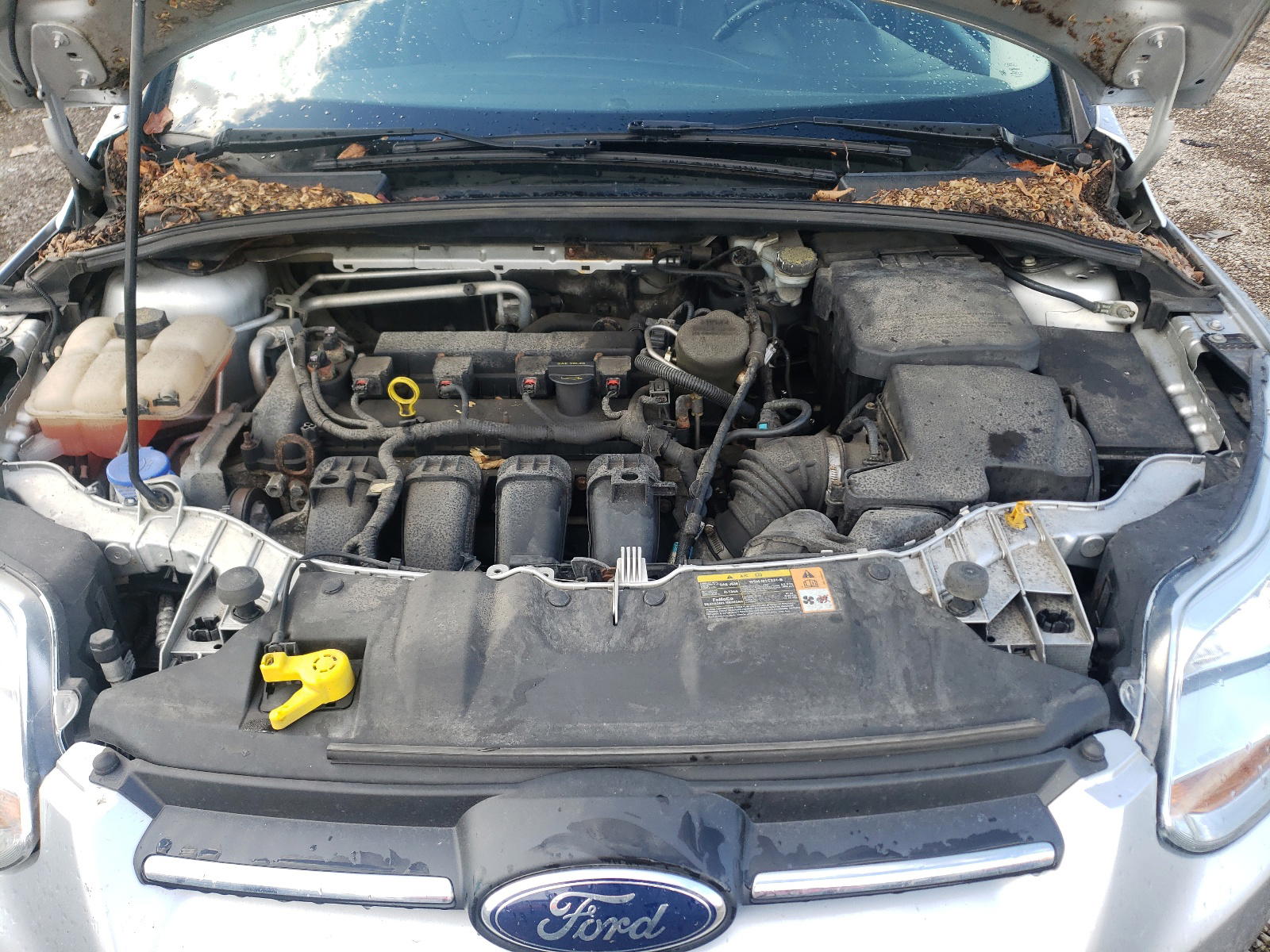 Photo 7 from auction – 2013 FORD FOCUS SE with VIN 1FADP3K2XDL379693