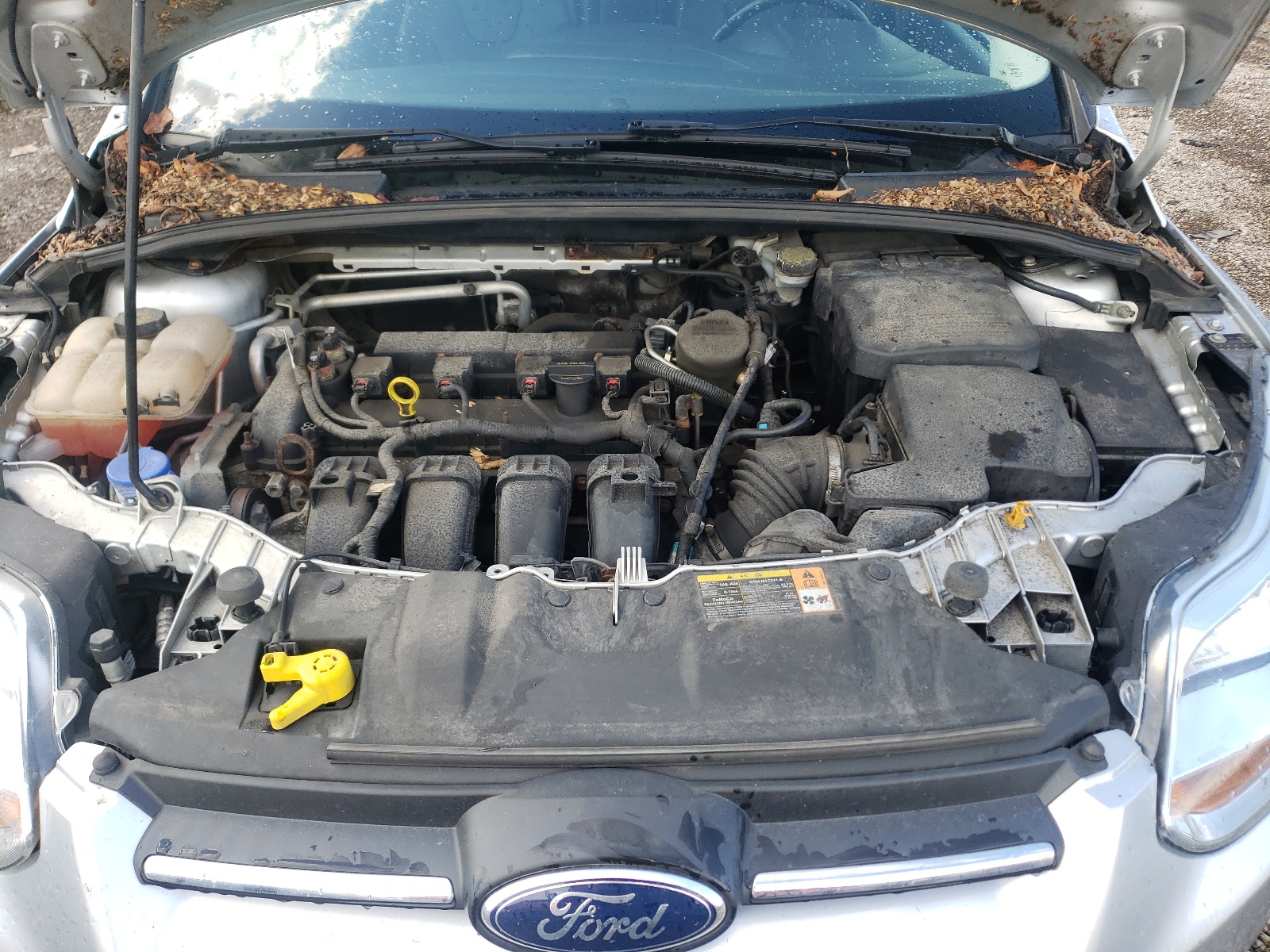 صورة رقم 7 من المزاد - 2013 FORD FOCUS SE مع VIN 1FADP3K2XDL379693