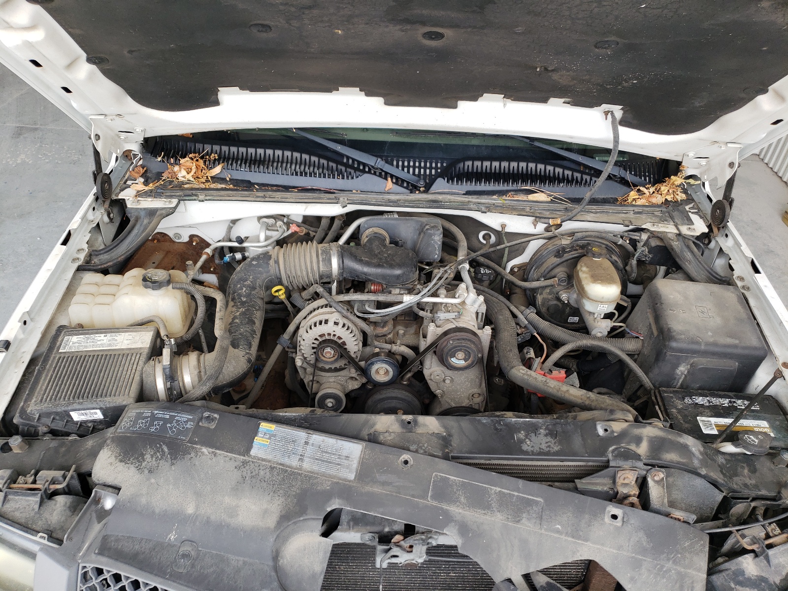 Photo 7 from auction – 2005 CHEVROLET SILVERADO with VIN 1GCEC14X65Z132046