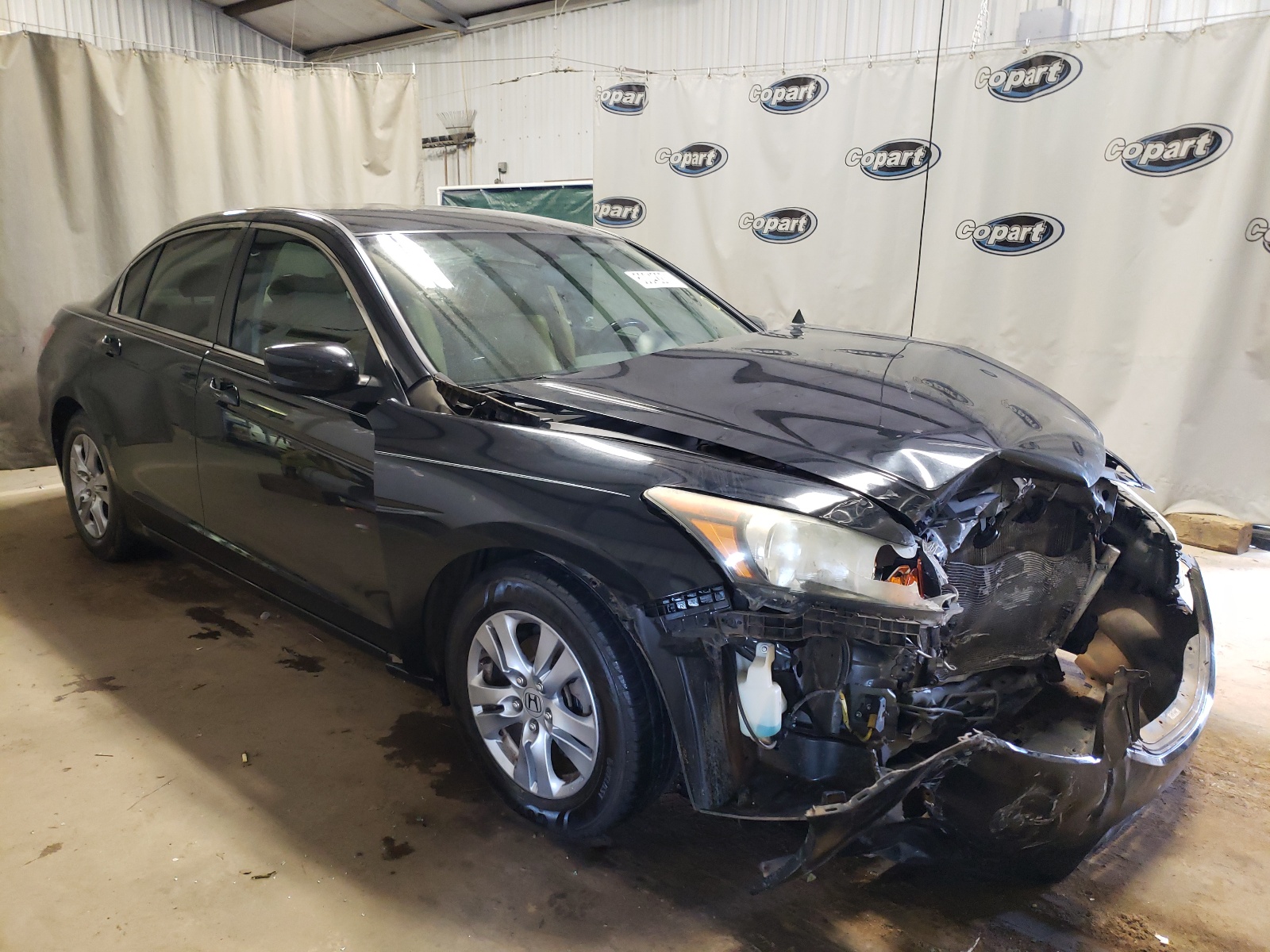 HONDA ACCORD SE 2011 with VIN 1HGCP2F6XBA084987 - Photo from auction