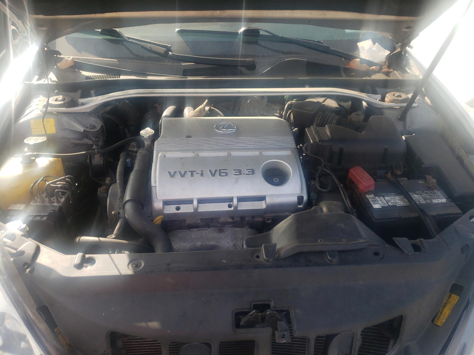 Photo 7 from auction – 2005 LEXUS ES 330 with VIN JTHBA30G555099489