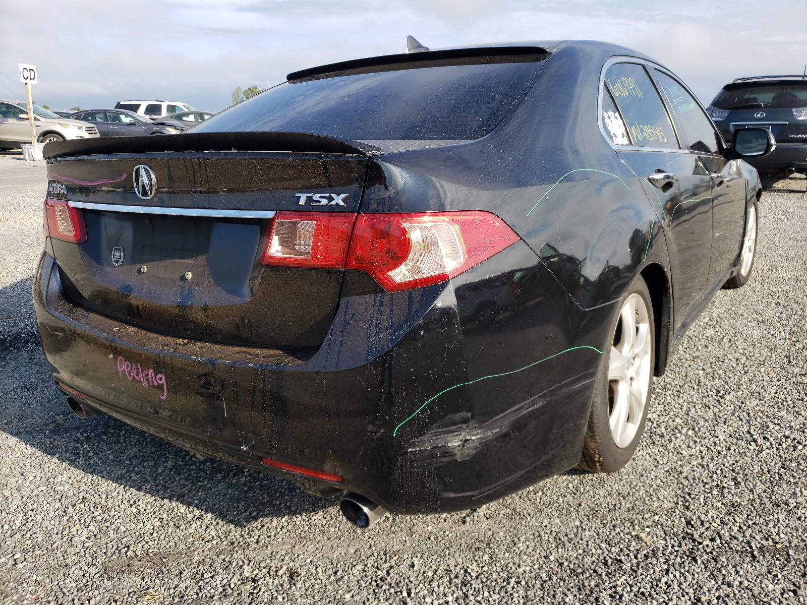 Photo 4 from auction – 2011 ACURA TSX with VIN JH4CU2F61BC007533