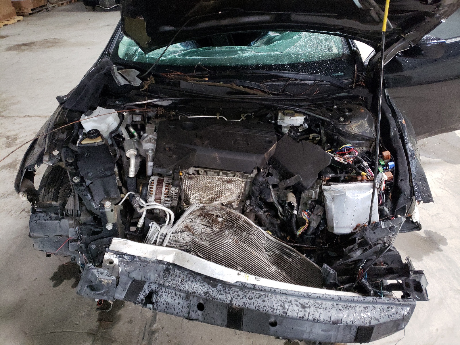 Photo 7 from auction – 2014 NISSAN ALTIMA 2.5 with VIN 1N4AL3APXEC129416