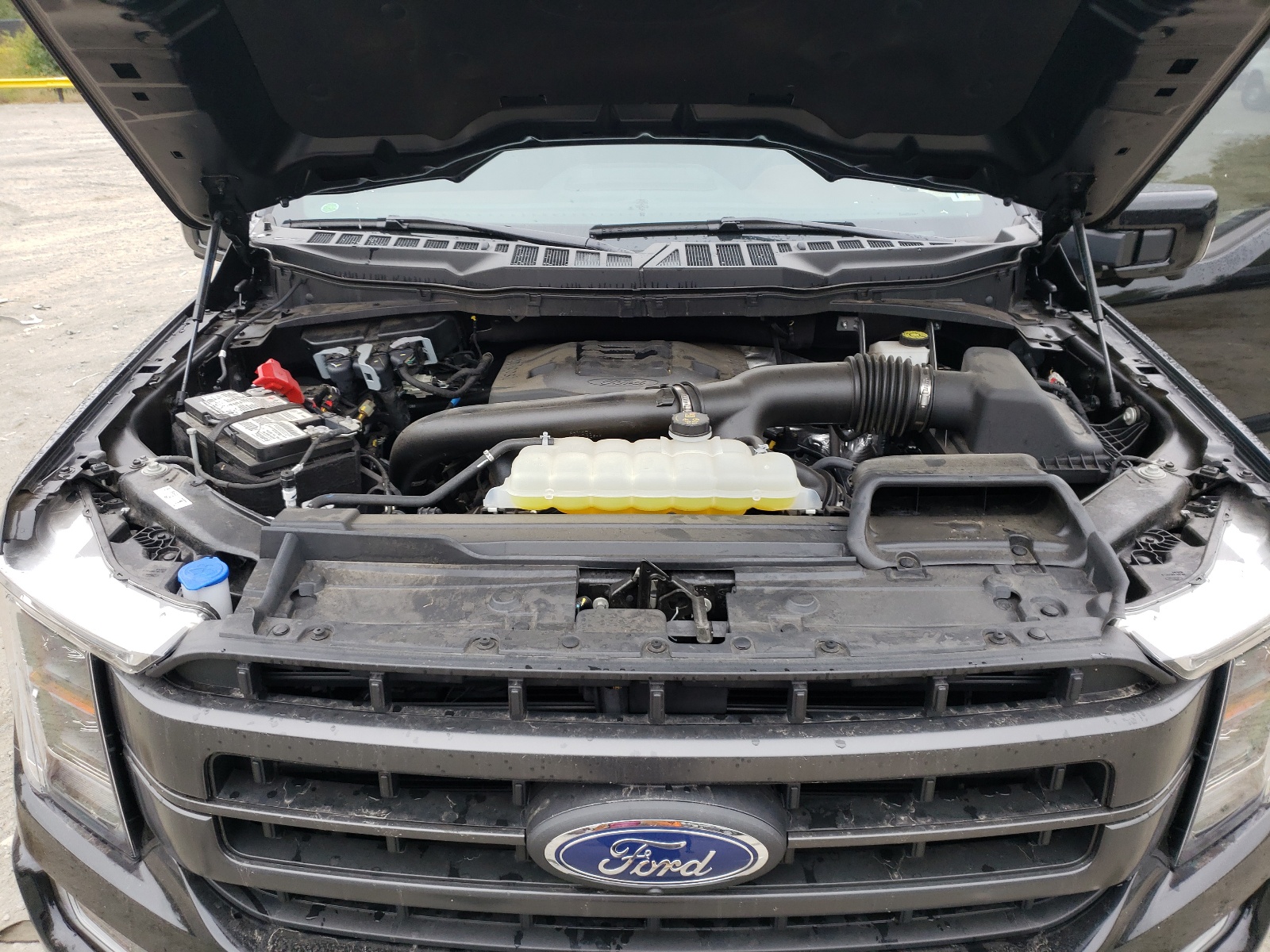 Photo 7 from auction – 2021 FORD F150 SUPER with VIN 1FTFW1E86MFA21192