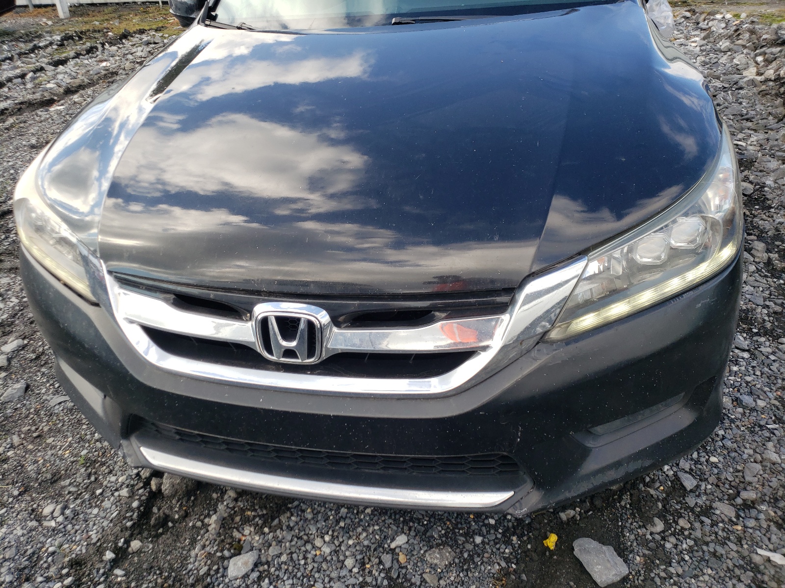 Photo 7 from auction – 2013 HONDA ACCORD EXL with VIN 1HGCR2F89DA102491